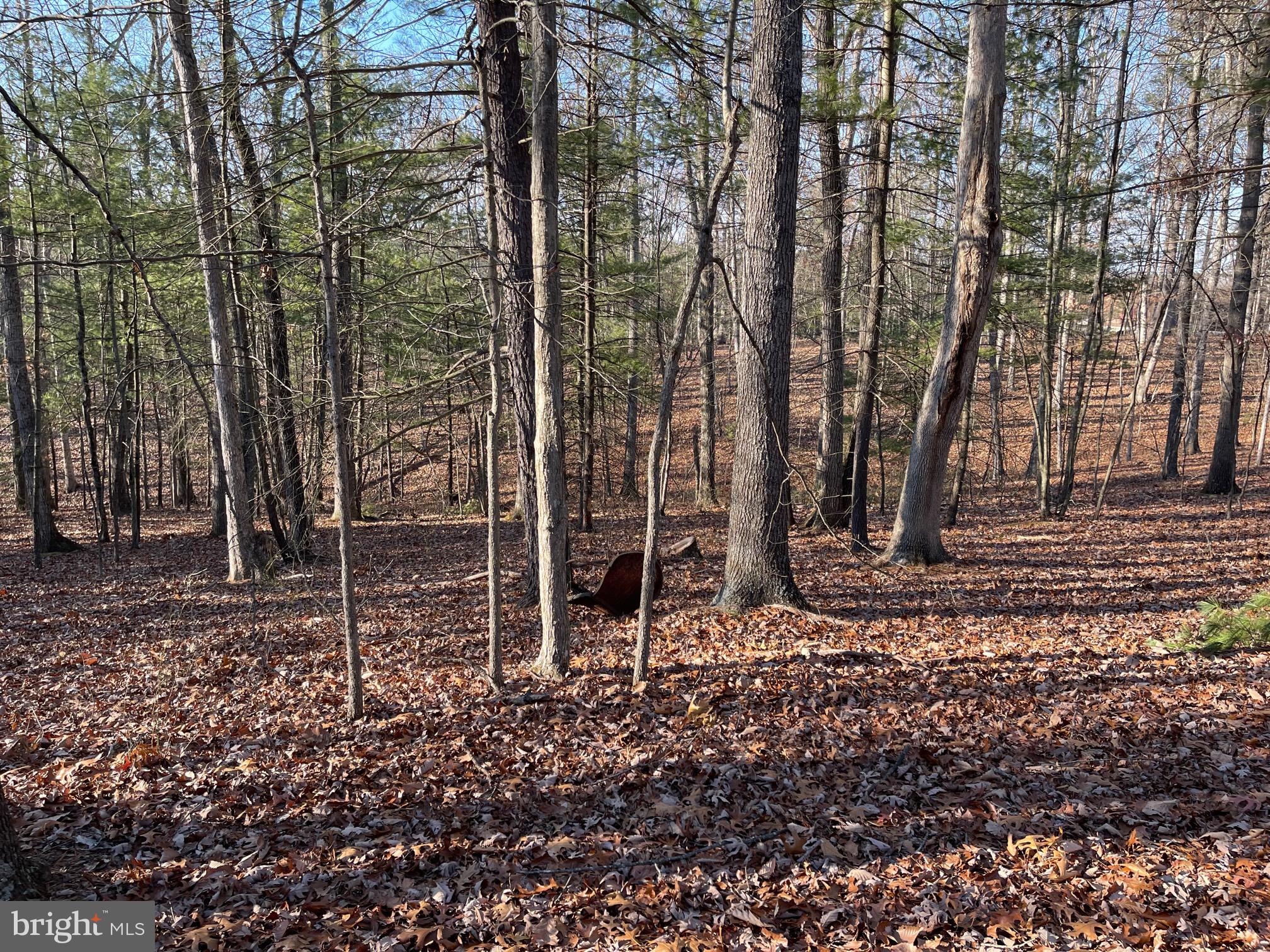 NONE AVAILABLE - Land