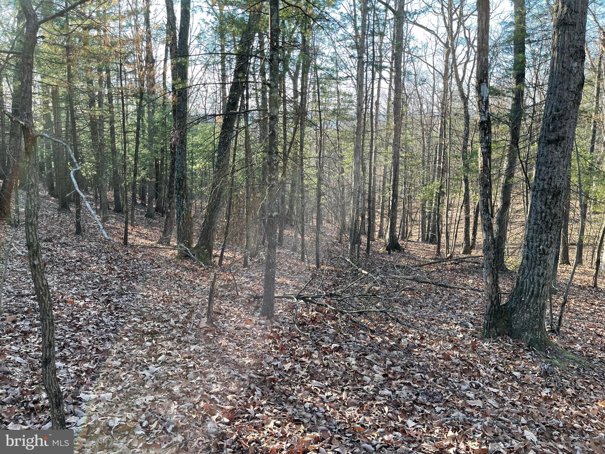 NONE AVAILABLE - Land