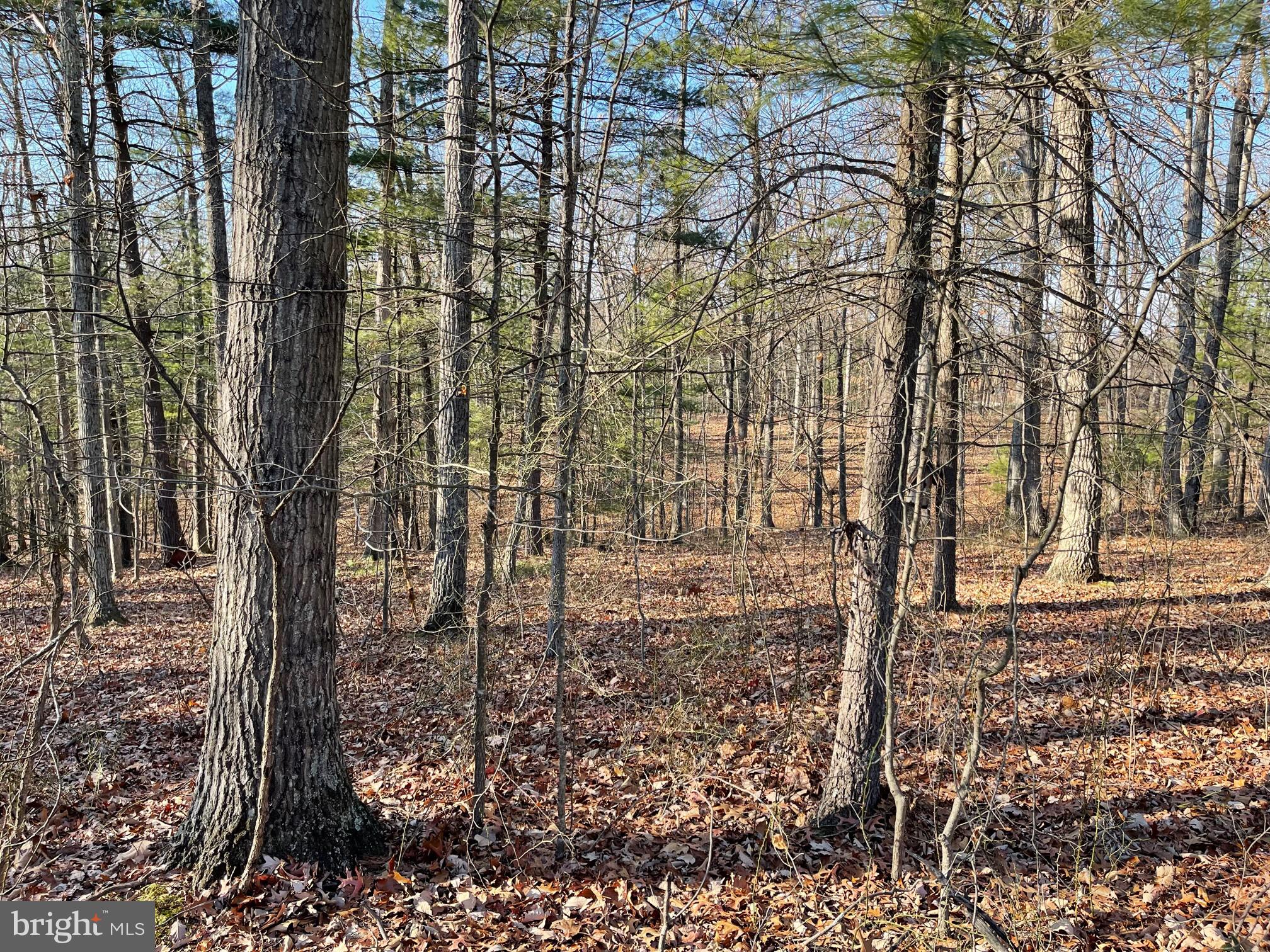 NONE AVAILABLE - Land