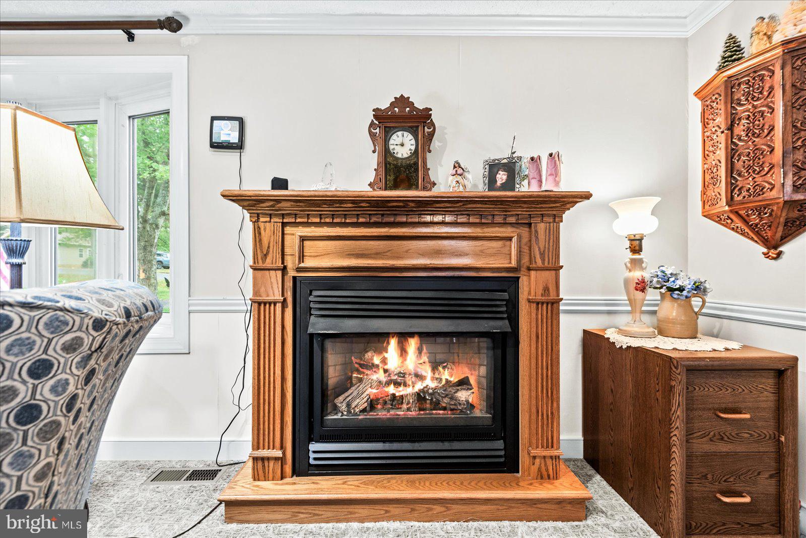 LAKE OF THE WOODS - Residential