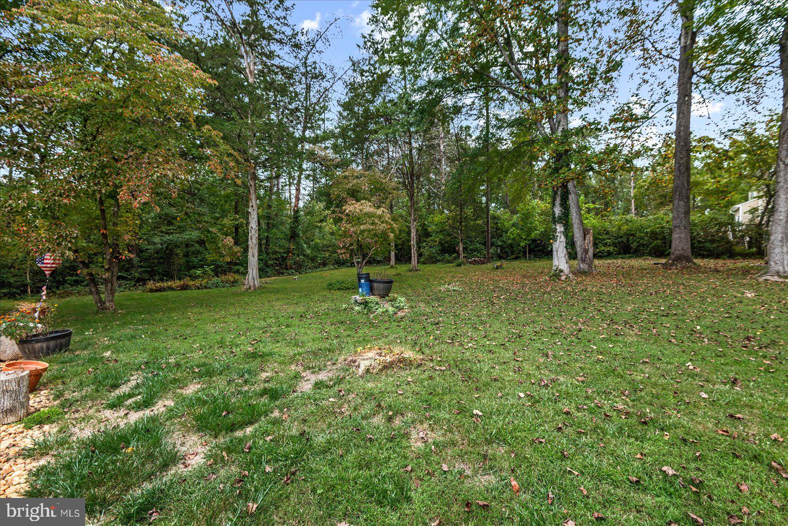 LAKE OF THE WOODS - Residential