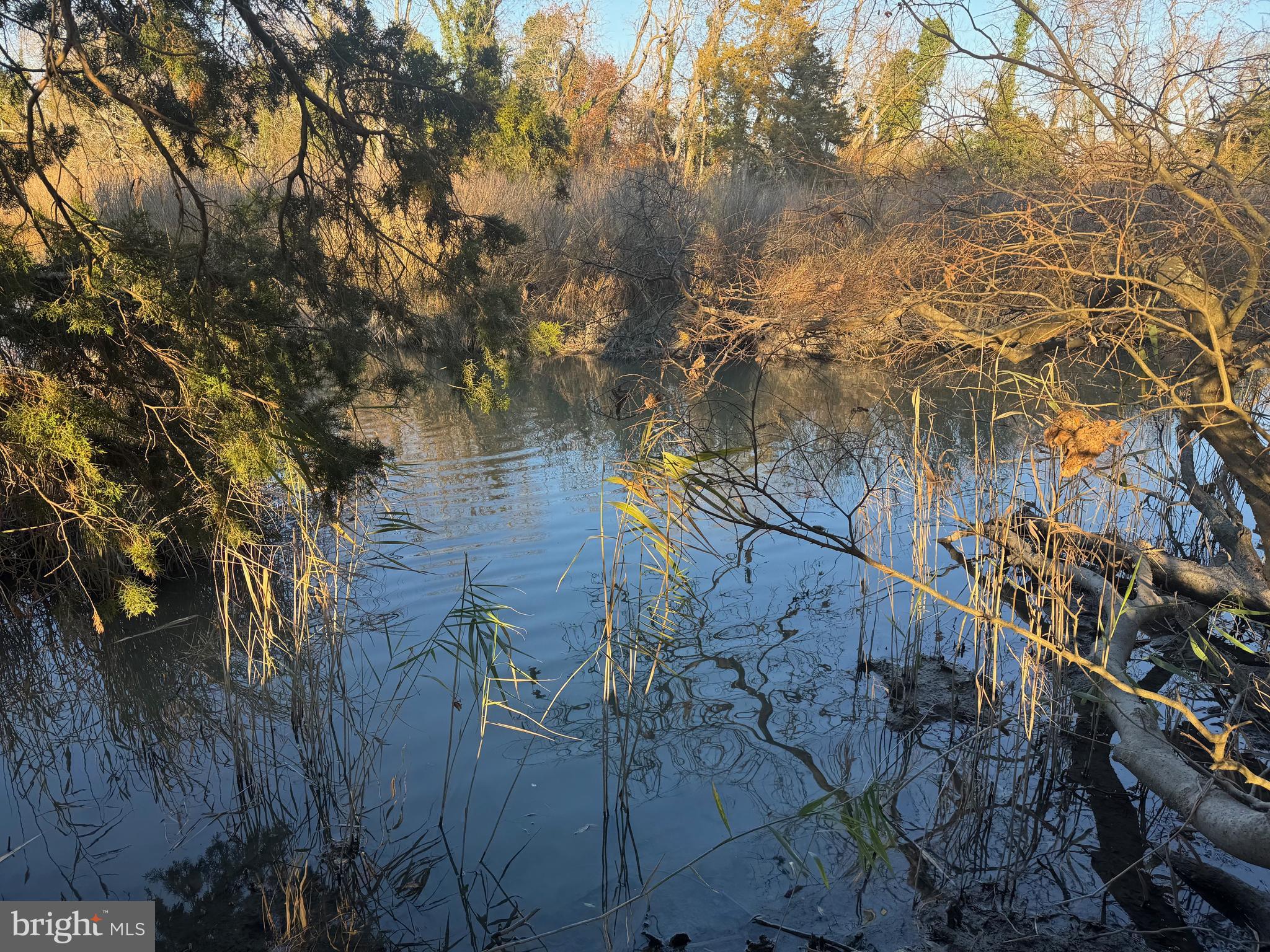 Property located just outside of Cambridge on MD Rt. 343/Hudson Road among open farmland and has frontage on Jenkins Creek.