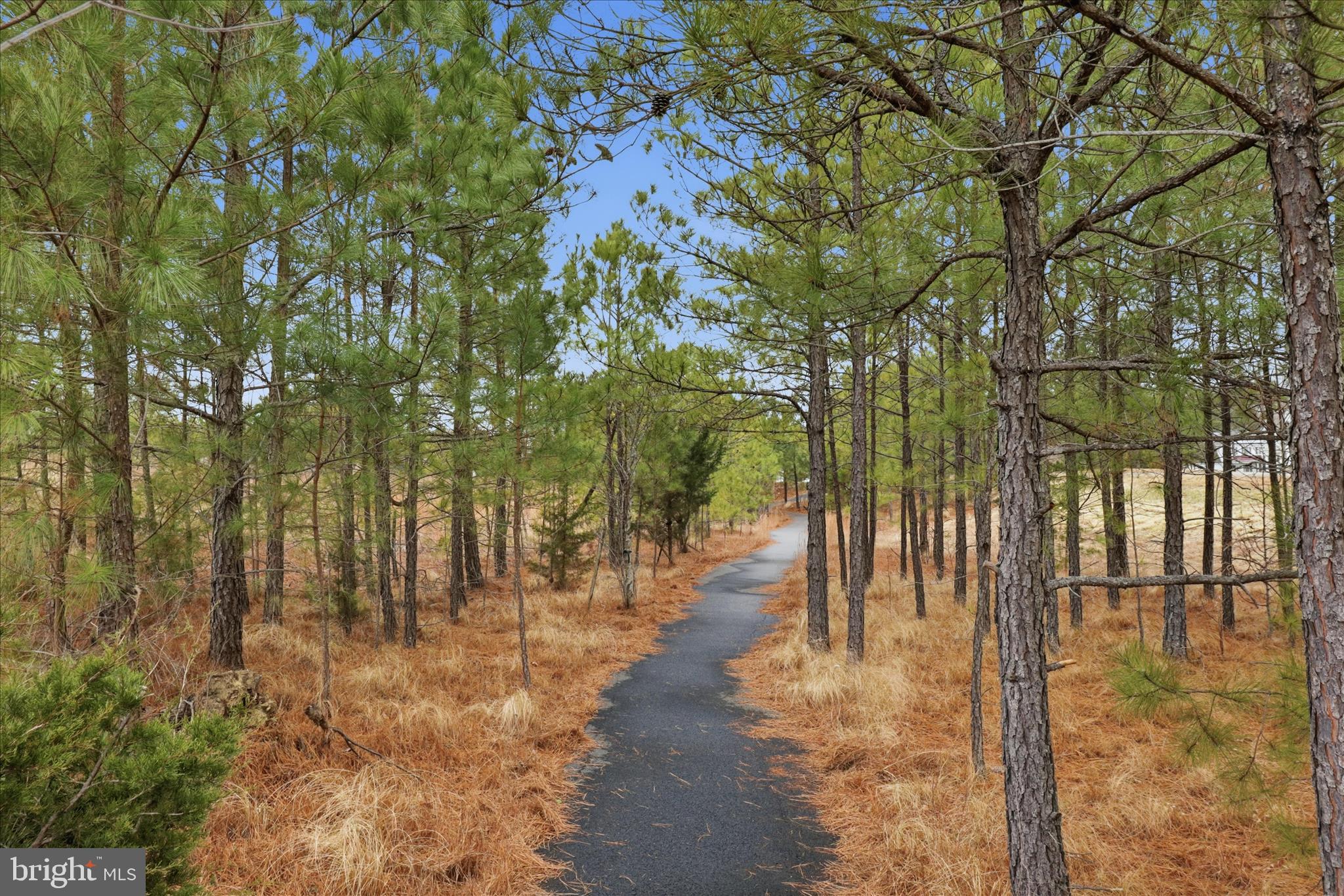 LADYSMITH VILLAGE - Residential