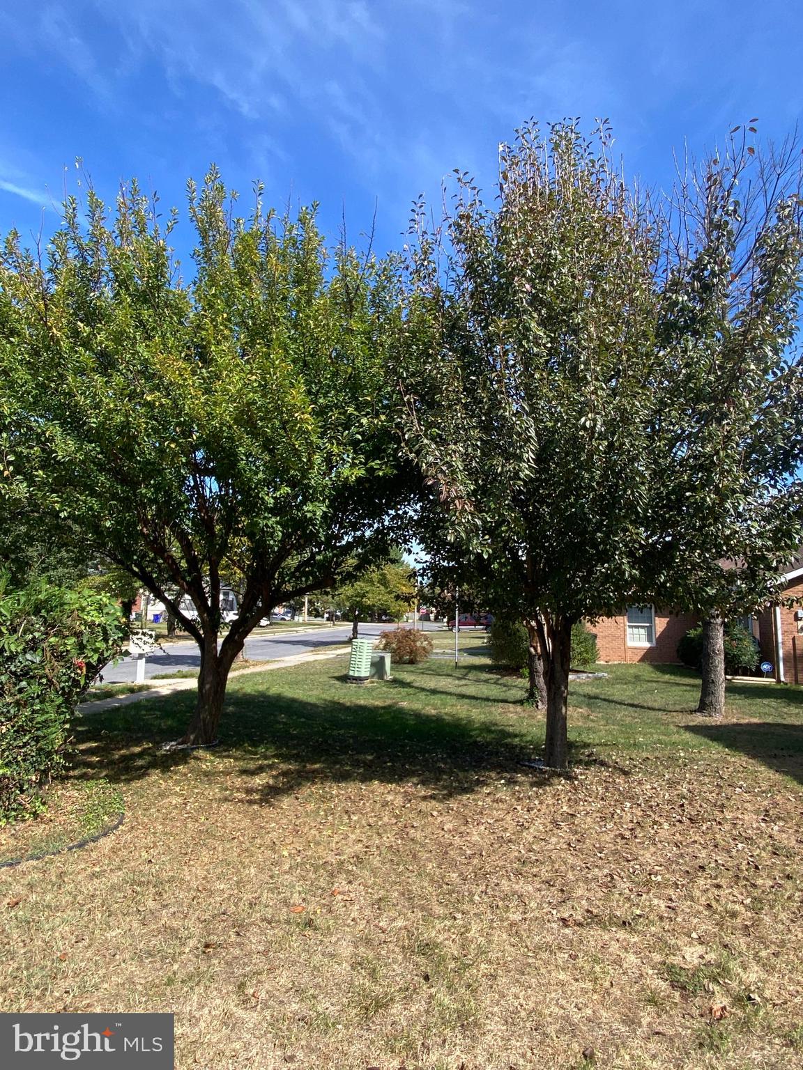 BRIGHTON MANOR - Residential