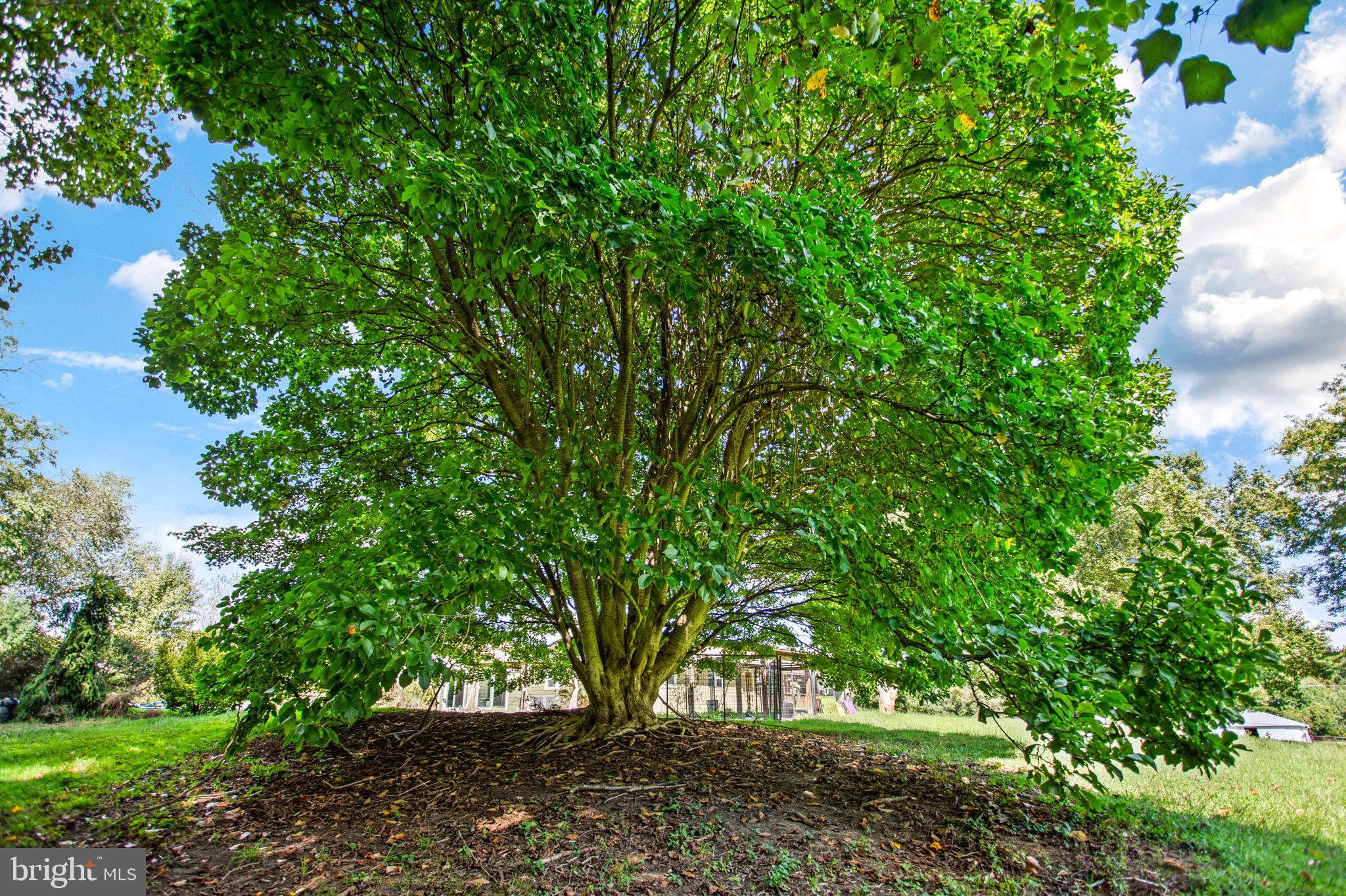 LOTHIAN - Residential