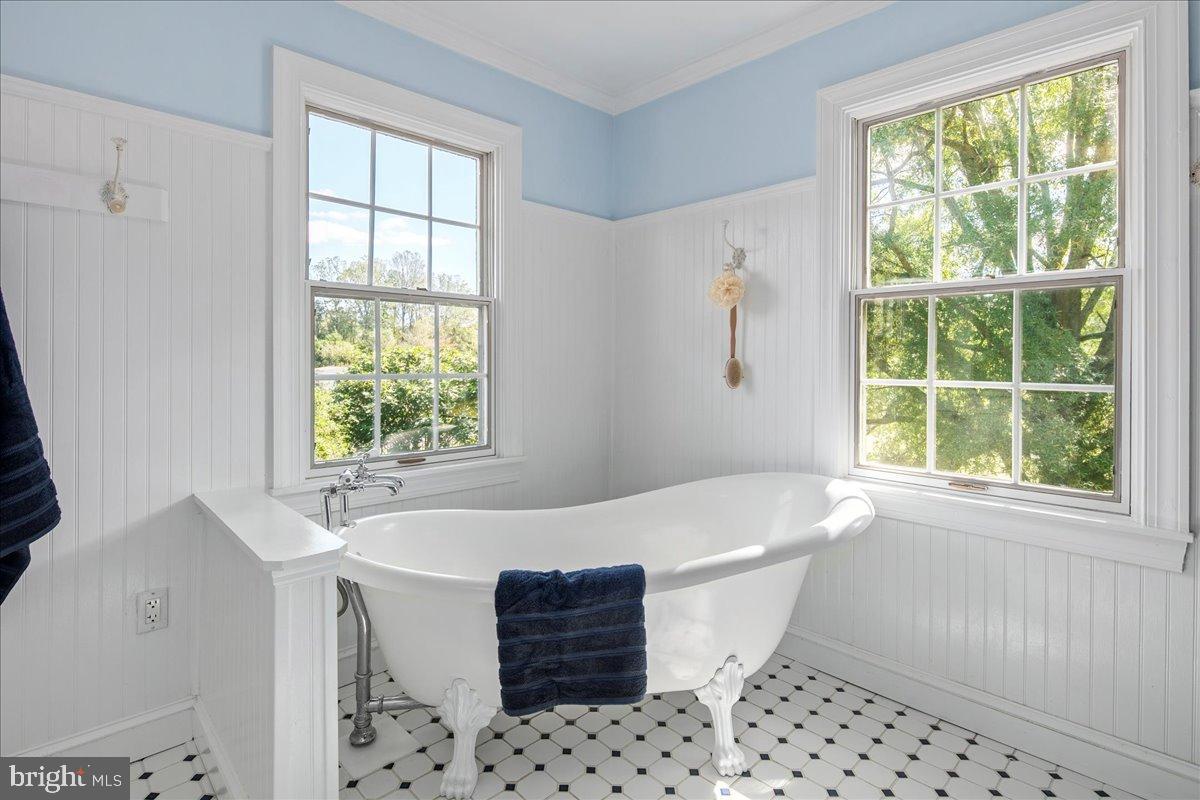 REDLAC FOREST - Residential