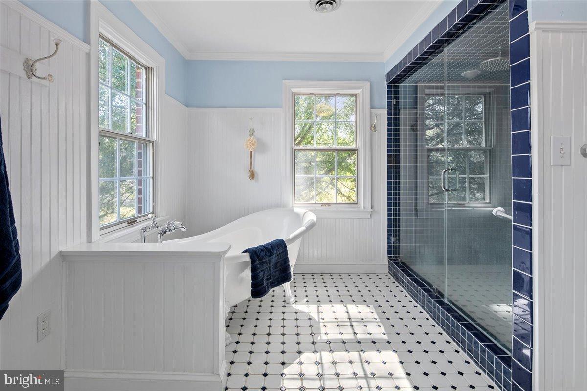 REDLAC FOREST - Residential