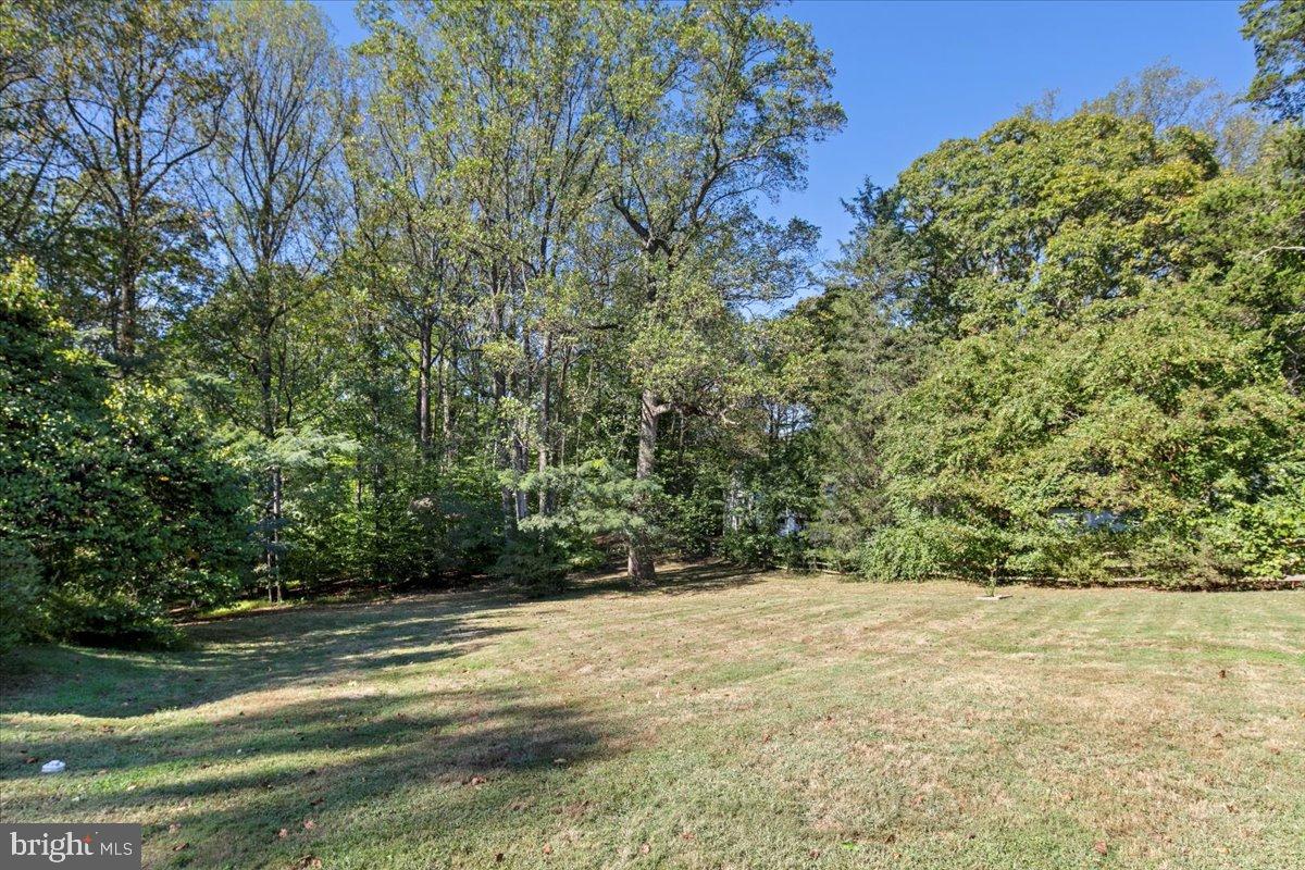 REDLAC FOREST - Residential