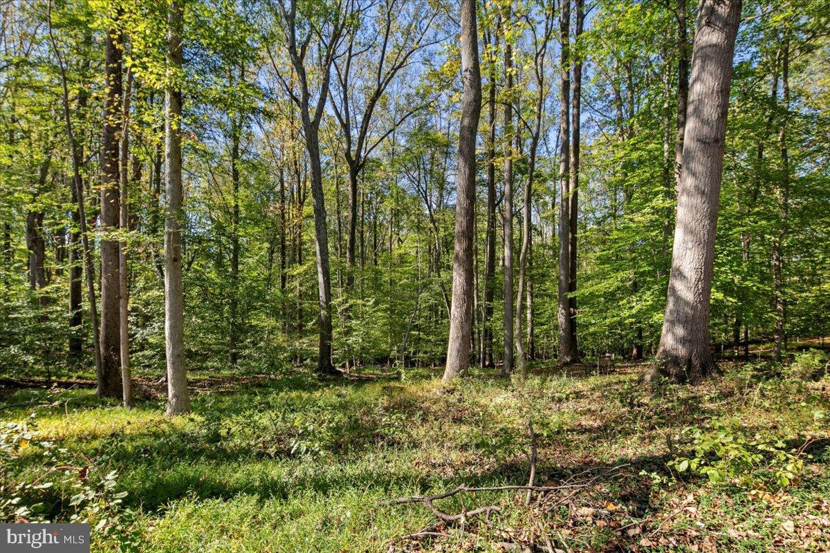 REDLAC FOREST - Residential