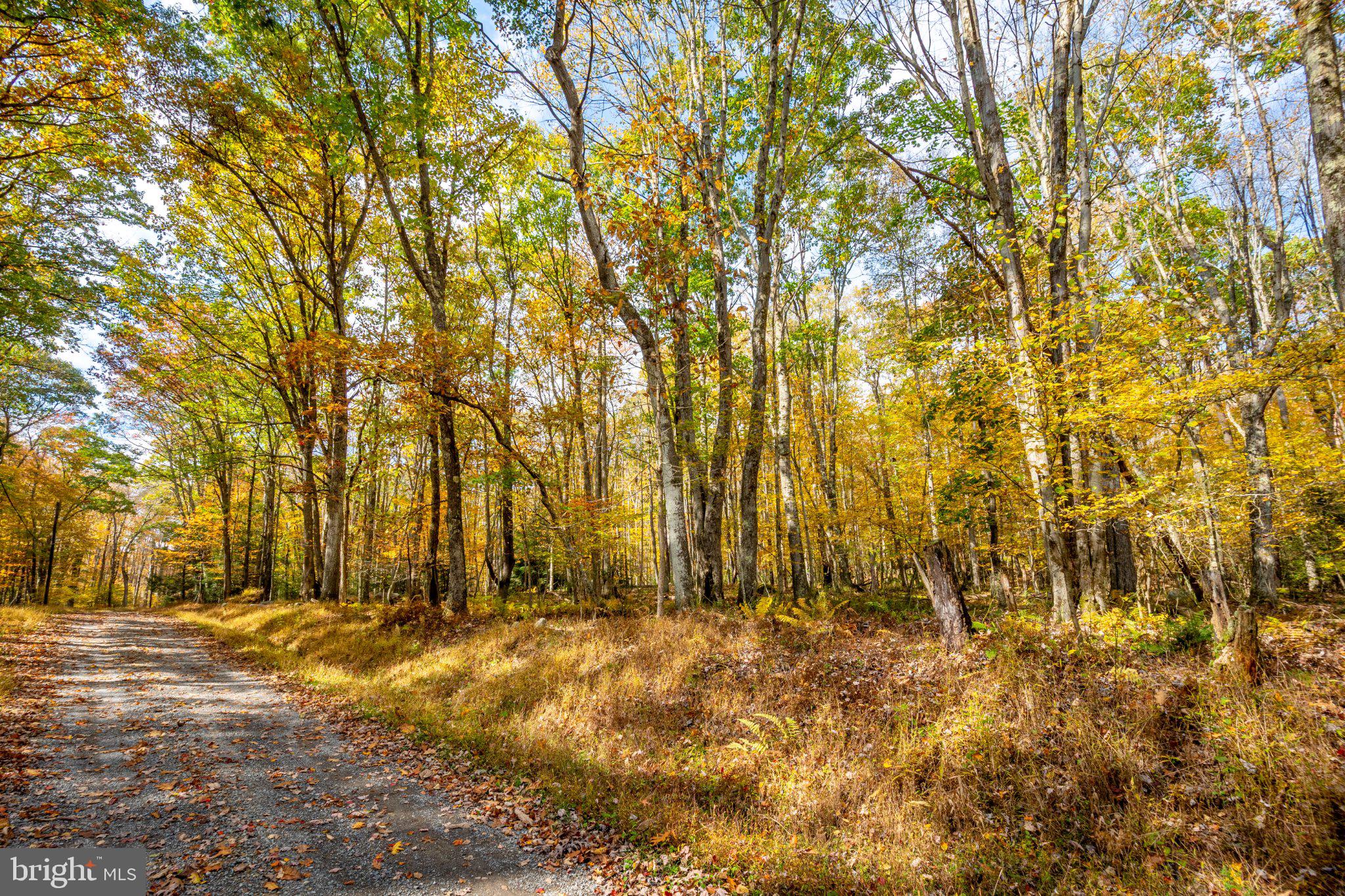 FAWN DRIVE