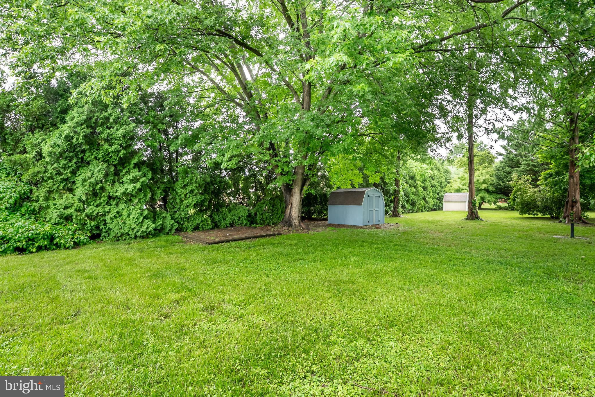 11106 PLUM DRIVE
