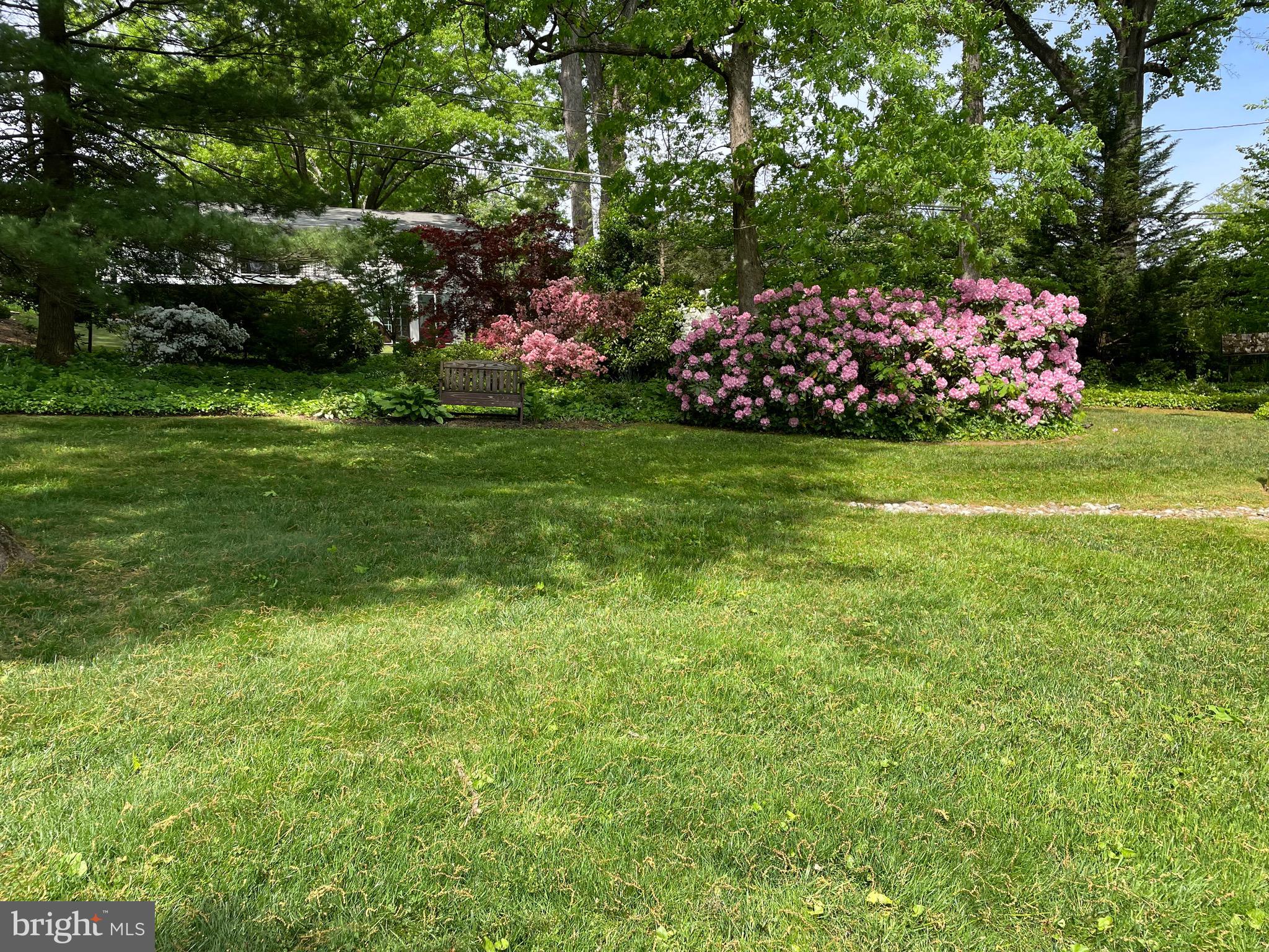 DULANEY FOREST - Residential