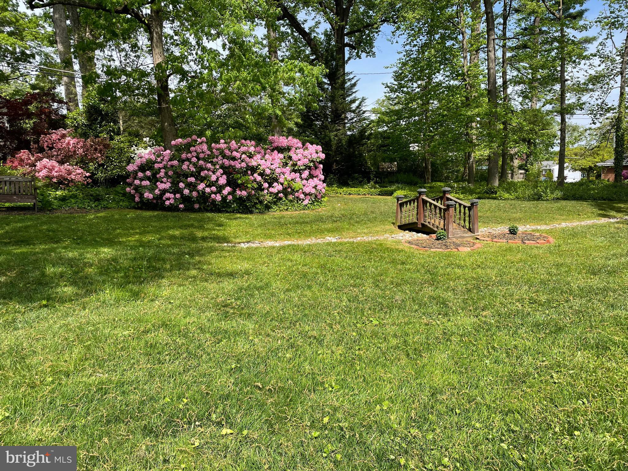 DULANEY FOREST - Residential