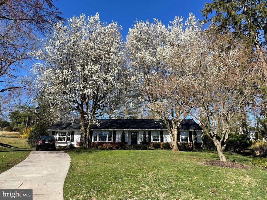 Professional photos to be loaded on 3/20. Everyone wants to live in Dulaney Forest. Fall in love with the charming rancher at the top of Purlington Road at the head of the cul-de-sac. Lovingly updated and expanded over the years, 200 Purlington Road offers a large family room used for gatherings all year long, a gorgeous yard, and updated kitchen and baths. The over-sized rooms offer versatility for today's living. Enjoy quick meals in the eat-in kitchen, or choose the large dining room for a more leisurely setting. See the sun shining through the large windows, beckoning to the peaceful parklike yard. Grill on the brick patio and enjoy the plethora of azaleas, rhododendrons, and blooms throughout the seasons. On the main level, find three bedrooms. The primary bedroom easily fits a king sized bed, with space for dressers and more. Enter the full bath from the hallway or from the primary bedroom. There's also a half bath in the hallway. The two additional bedrooms are spacious, with one offering built-ins. The finished lower level holds a renovated full bath, another family room with plenty of huge storage closets, a storage room with more closets, and laundry. New sewer line in November 2025. Hurry! You will not be disappointed.