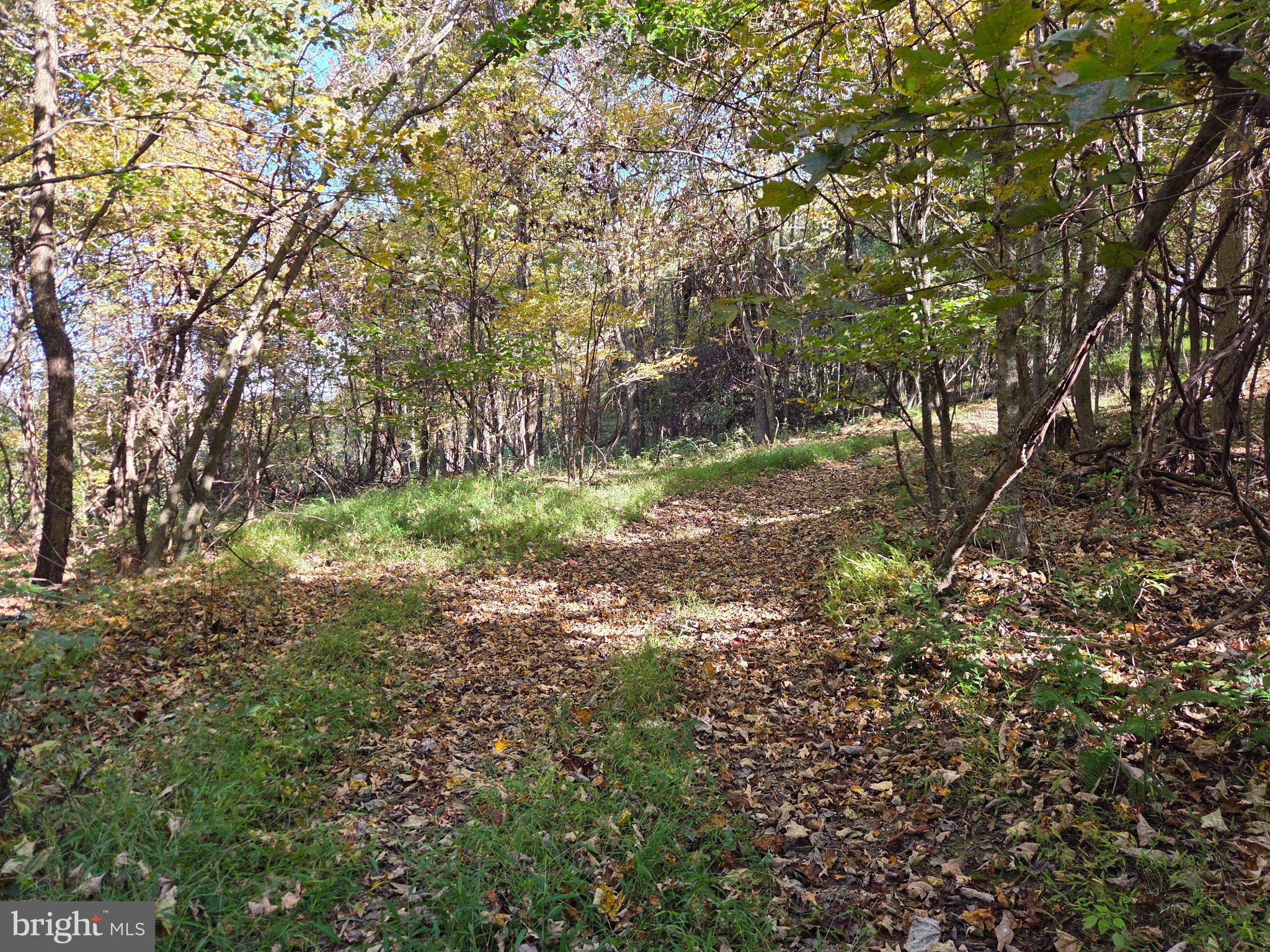 00 BLACK WALNUT ROAD