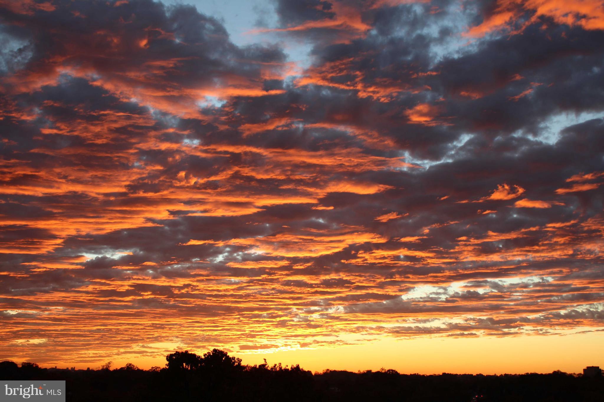UNIVERSITY TOWERS CODM - Residential