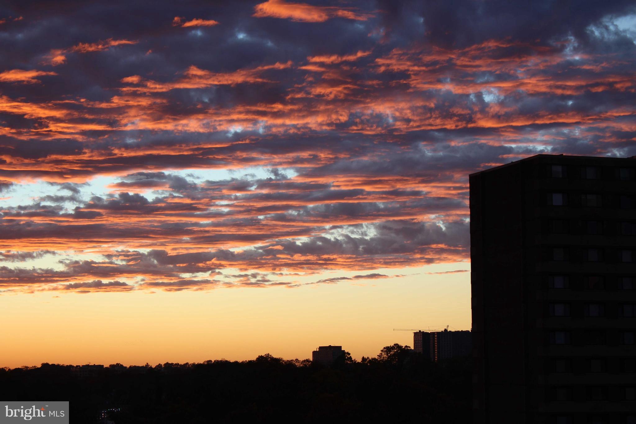 UNIVERSITY TOWERS CODM - Residential
