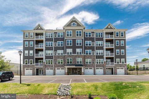 8911 CARLS COURT Q ELLICOTT CITY MD 21043