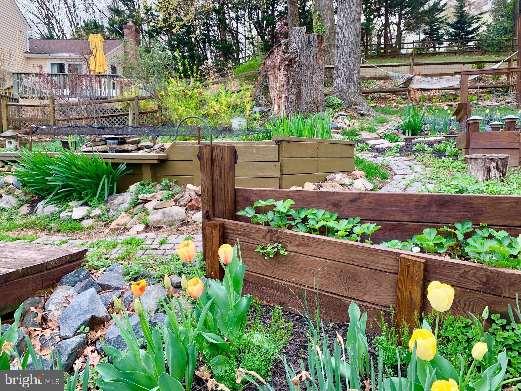 CANBURY WOODS - Residential