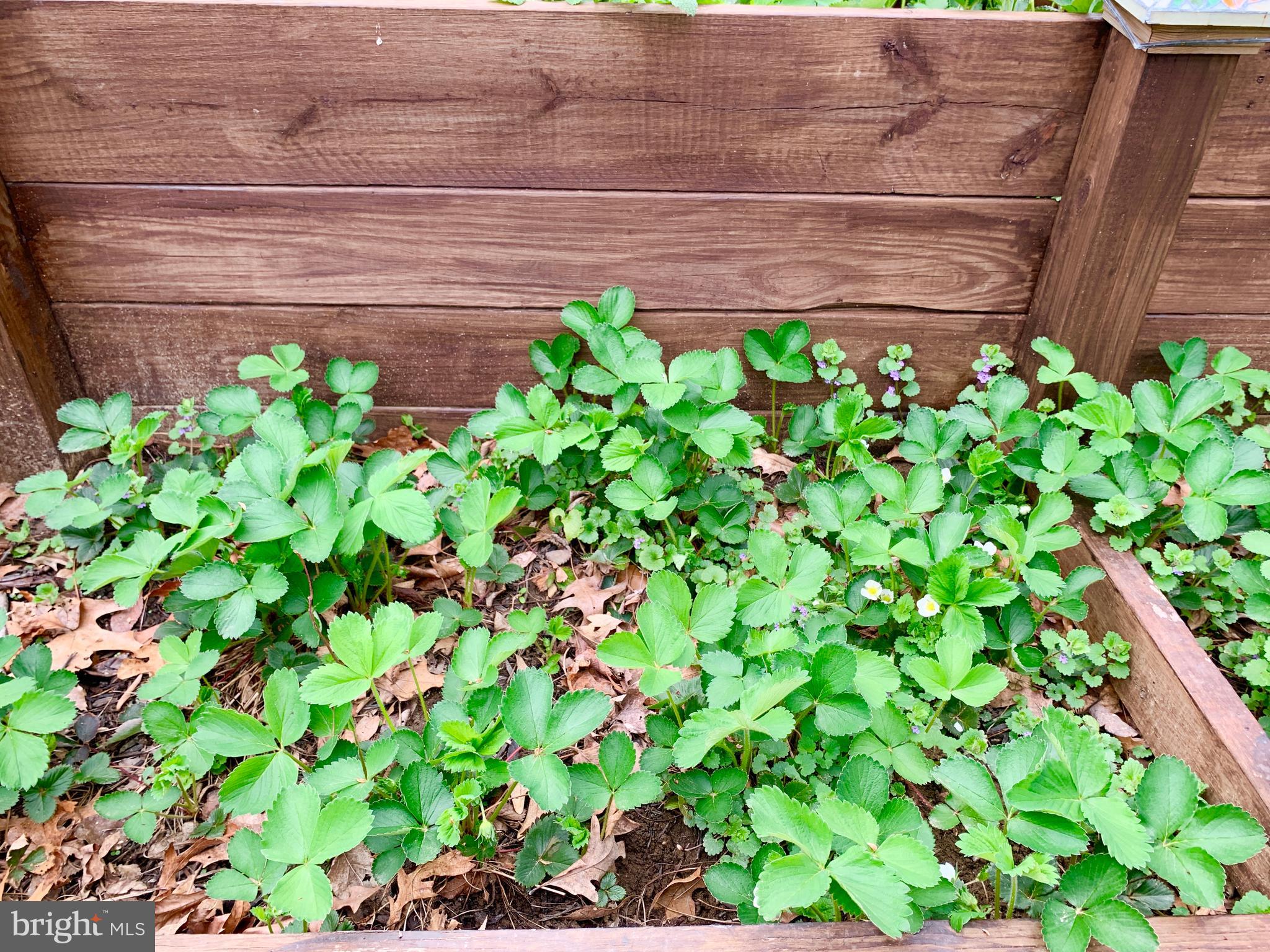 CANBURY WOODS - Residential