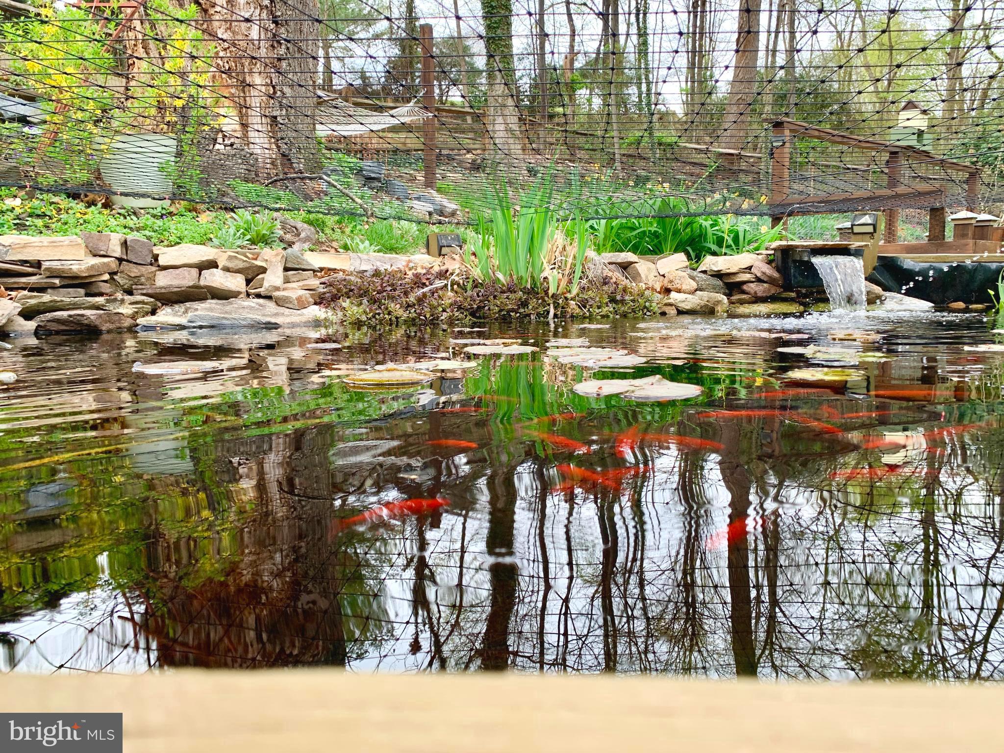 CANBURY WOODS - Residential