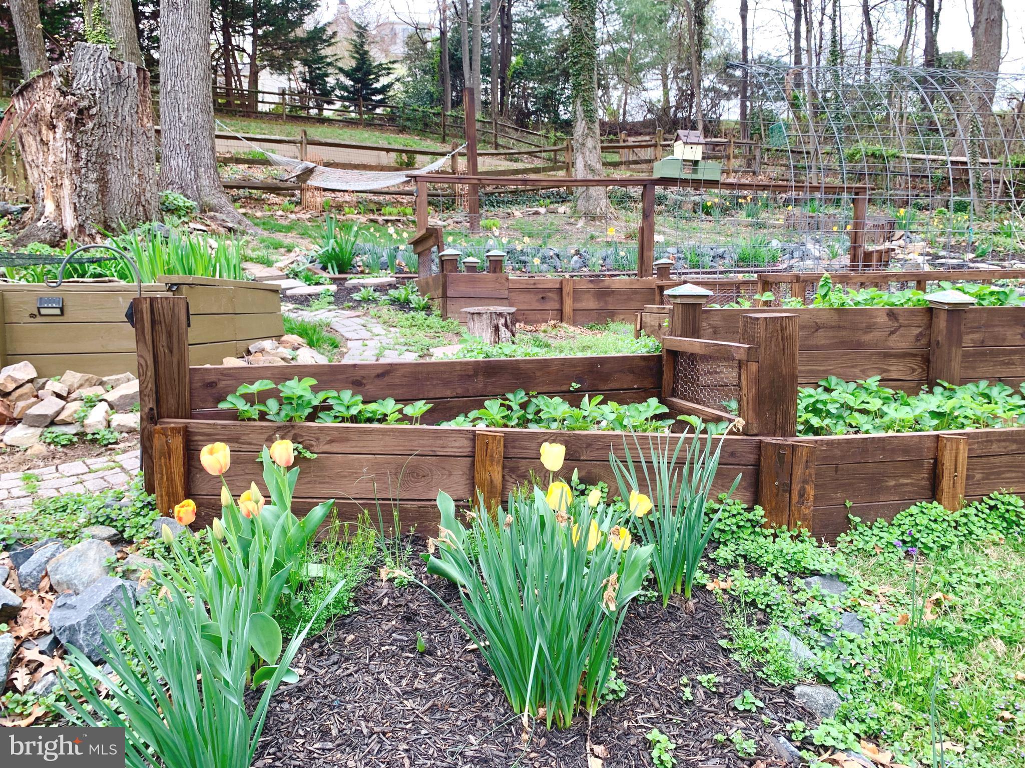 CANBURY WOODS - Residential