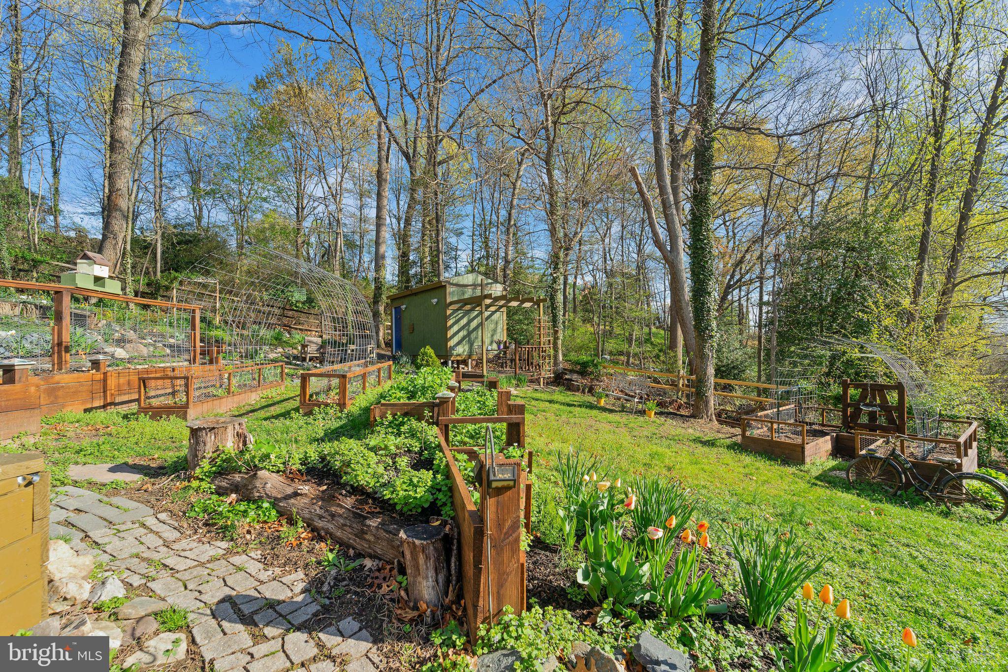 CANBURY WOODS - Residential