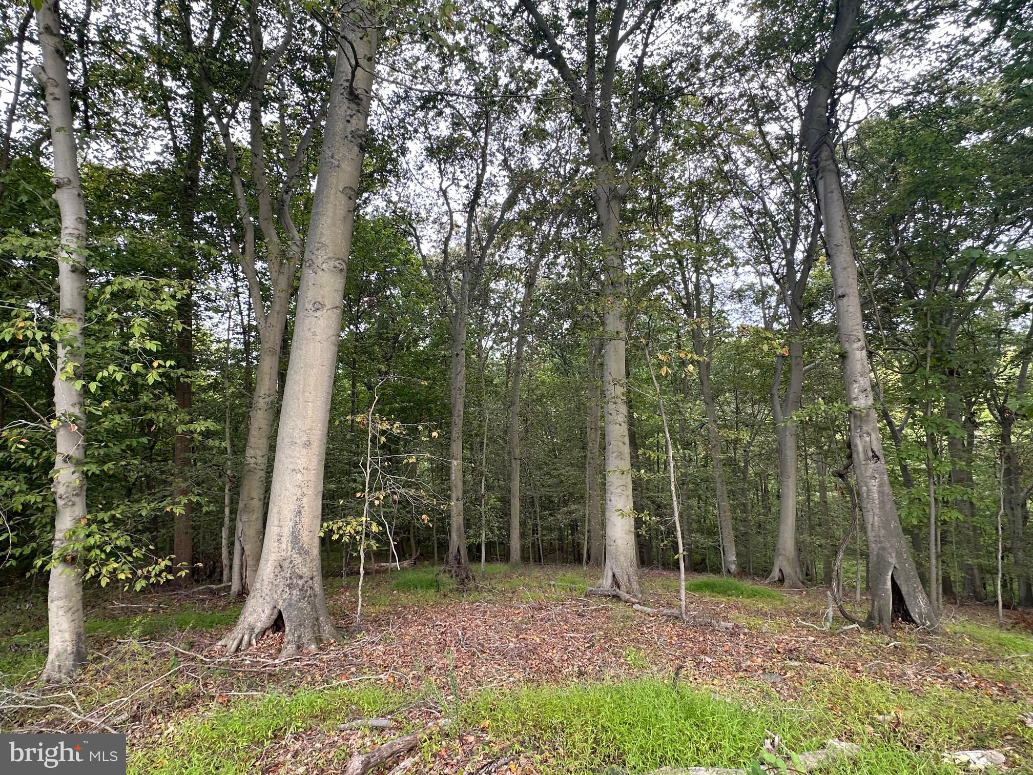 OAKWOOD - Residential