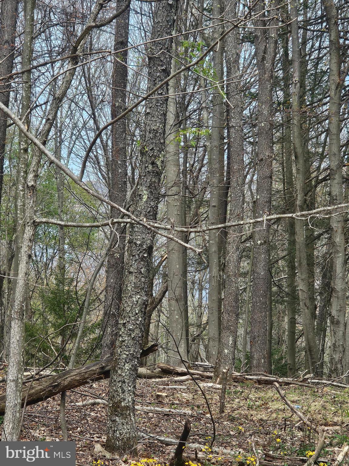 ROMAN NOSE SPA - Land