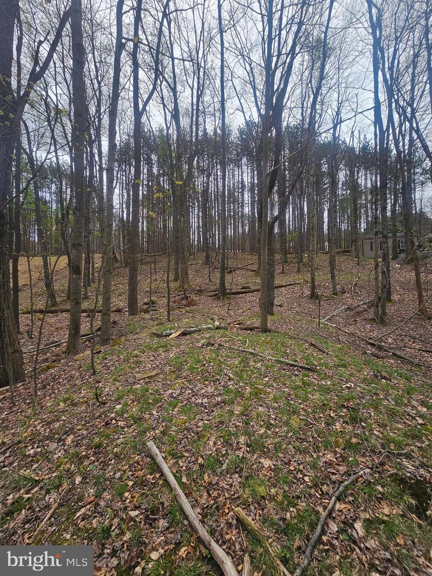 Seize the opportunity to own a beautiful parcel of land just minutes from Deep Creek Lake—one of the region’s most sought-after destinations for recreation and relaxation. This nearly half-acre property offers the rare combination of no HOA and no restrictions, giving you the freedom to bring your vision to life without limitations. Whether you're dreaming of building a cozy getaway cabin, a full-time residence, or your ultimate custom home, this property provides endless potential. With ample space and a versatile layout, the possibilities are truly wide open. Filtered lake views! Enjoy the peace and privacy of a natural setting while still being close to boating, dining, skiing, and year-round activities that make the Deep Creek Lake area so ideal for vacation home, investment, or primary residence. Unlimited potential to build your vision.
Don’t miss your chance to secure a flexible and affordable piece of land in a highly desirable location.