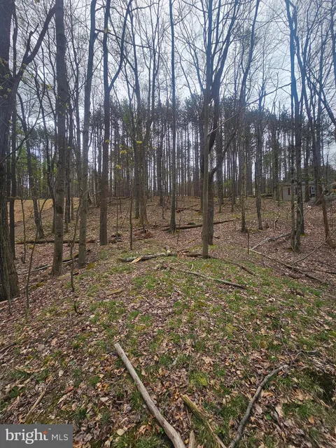 MLS: MDGA2011636
