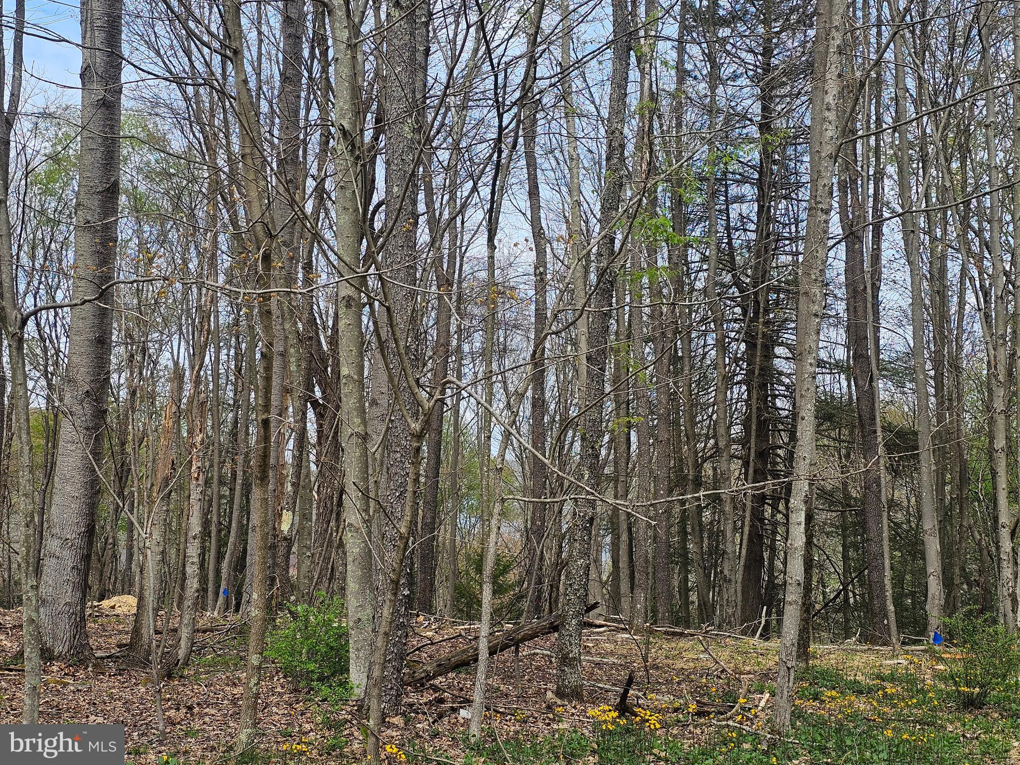 ROMAN NOSE SPA - Land