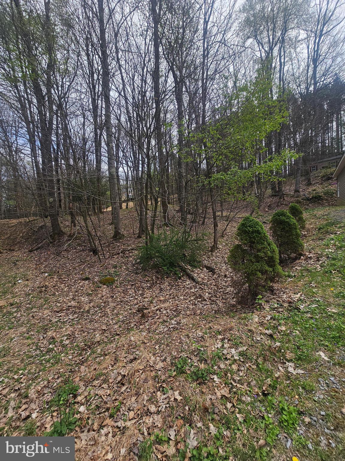 ROMAN NOSE SPA - Land