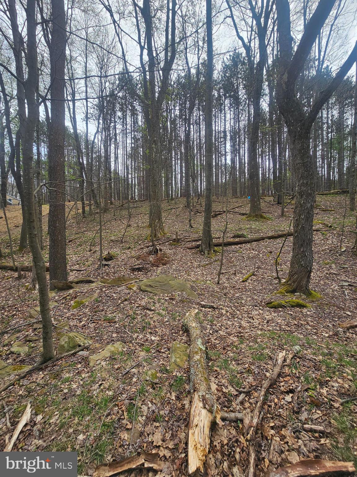 ROMAN NOSE SPA - Land