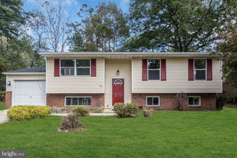 242 PHILLIPS AVENUE BROWNS MILLS NJ 08015