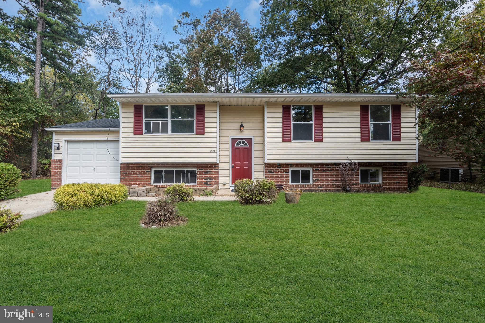 242 PHILLIPS AVENUE