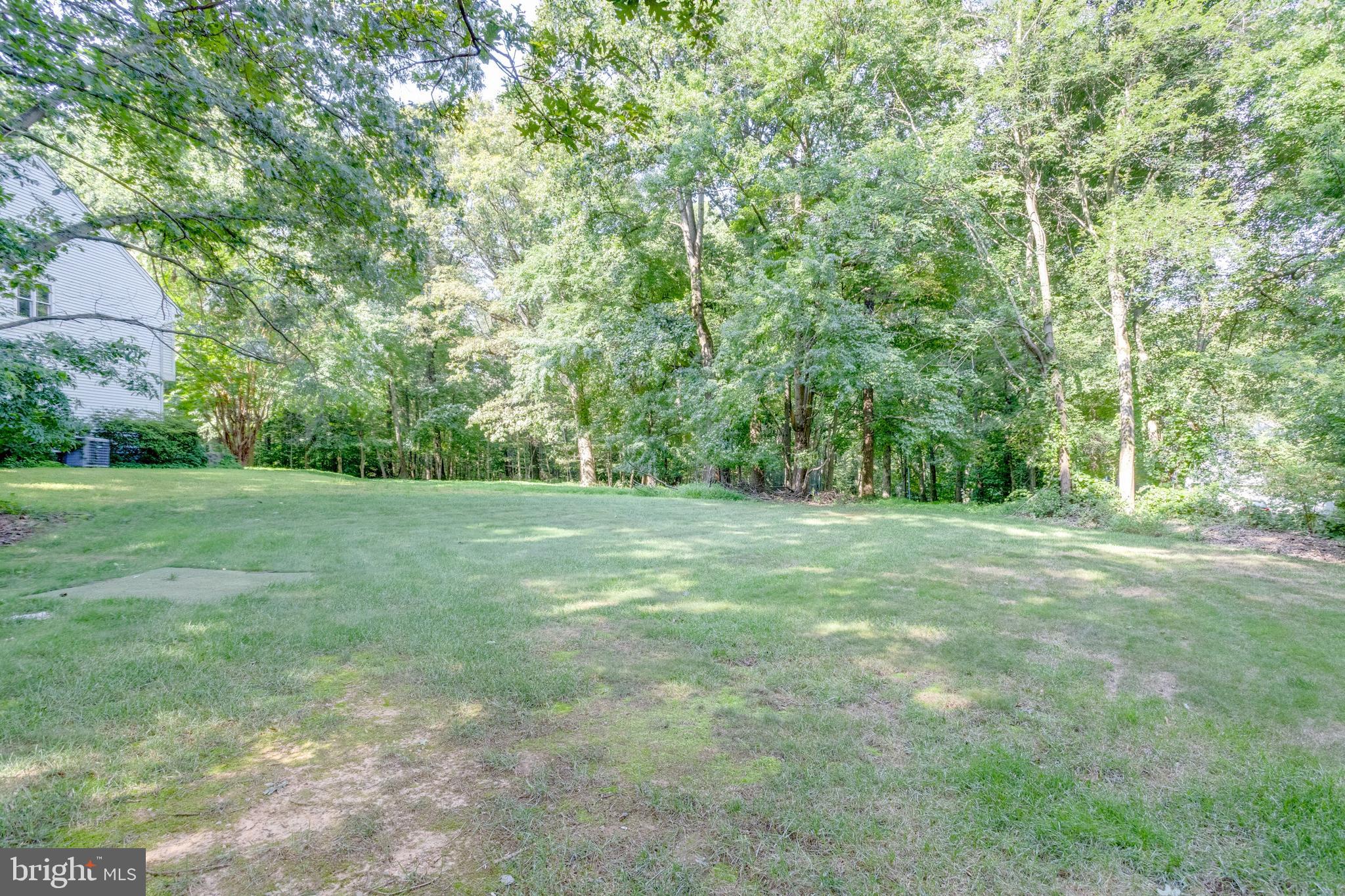 BIRCHTREE - Residential