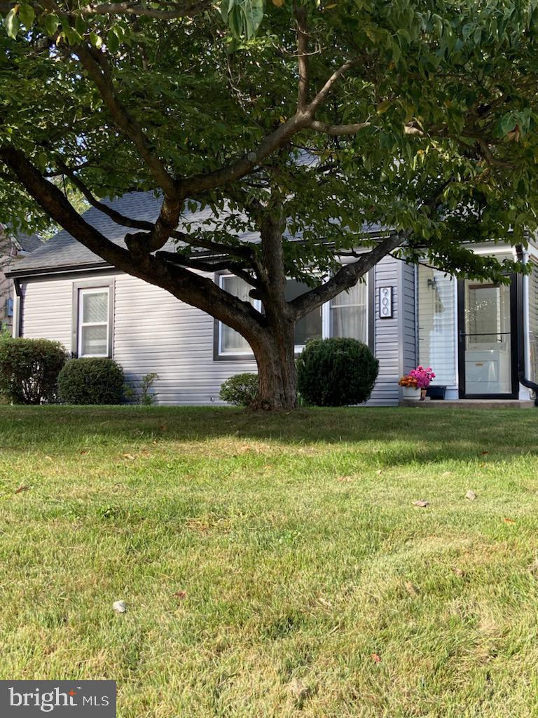 900 WADE AVENUE