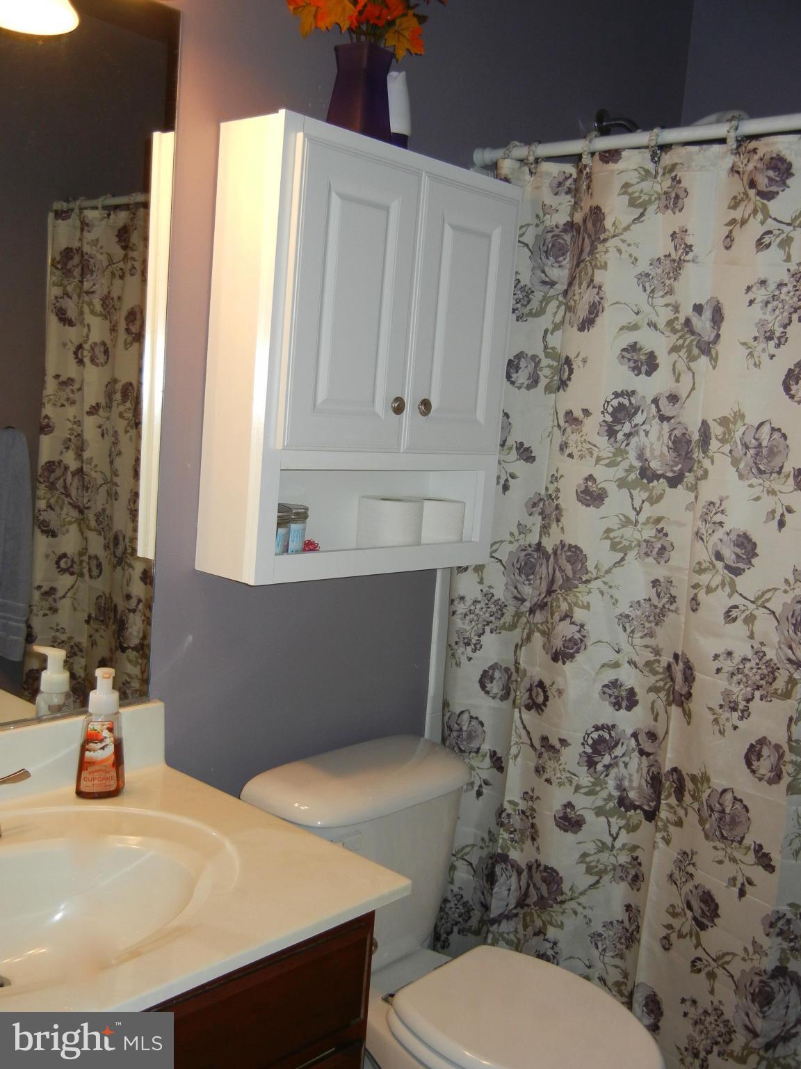 STONEBRIDGE AT WIDEWATER - Residential