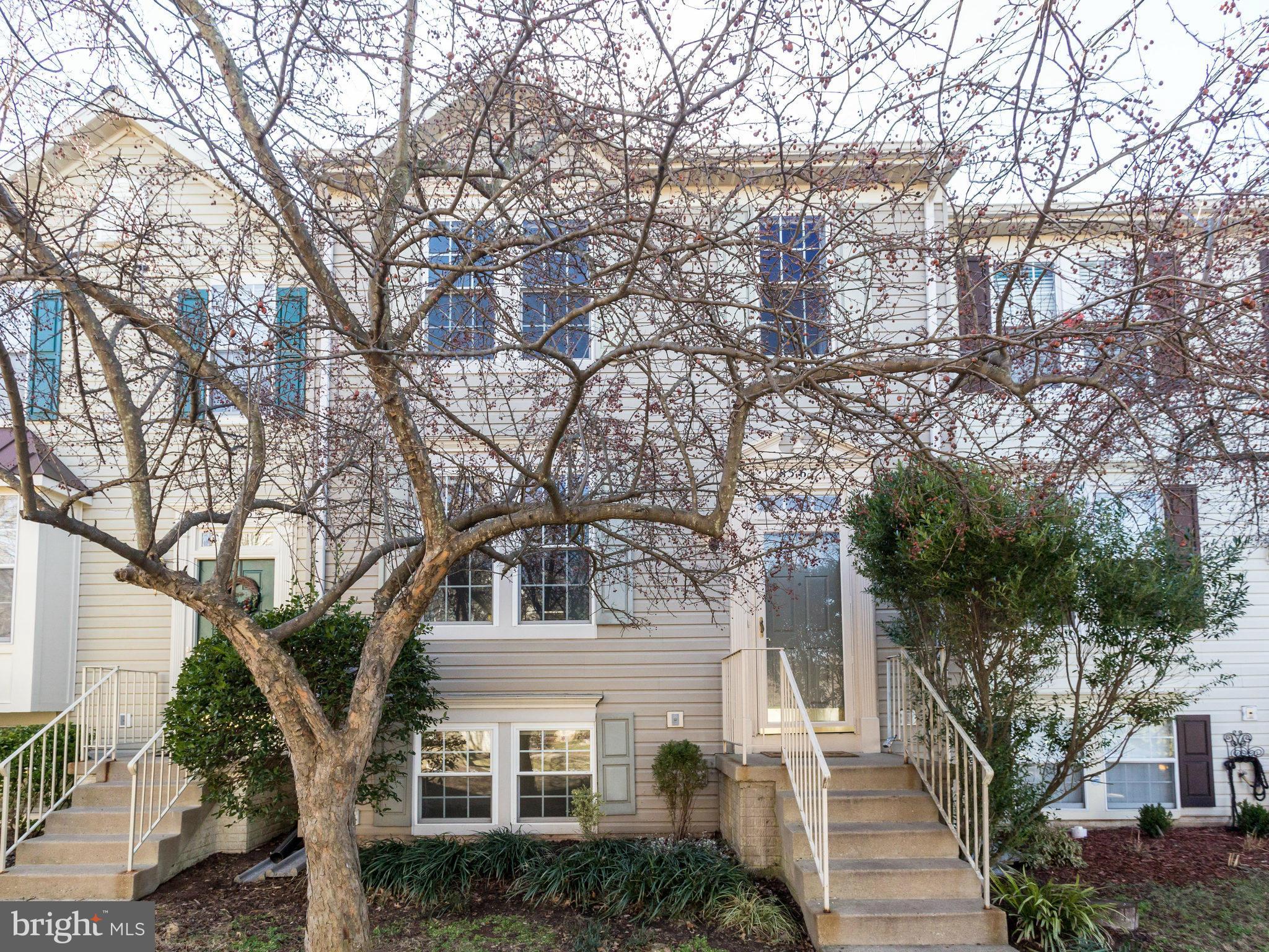 MAPLE POINTE - Residential