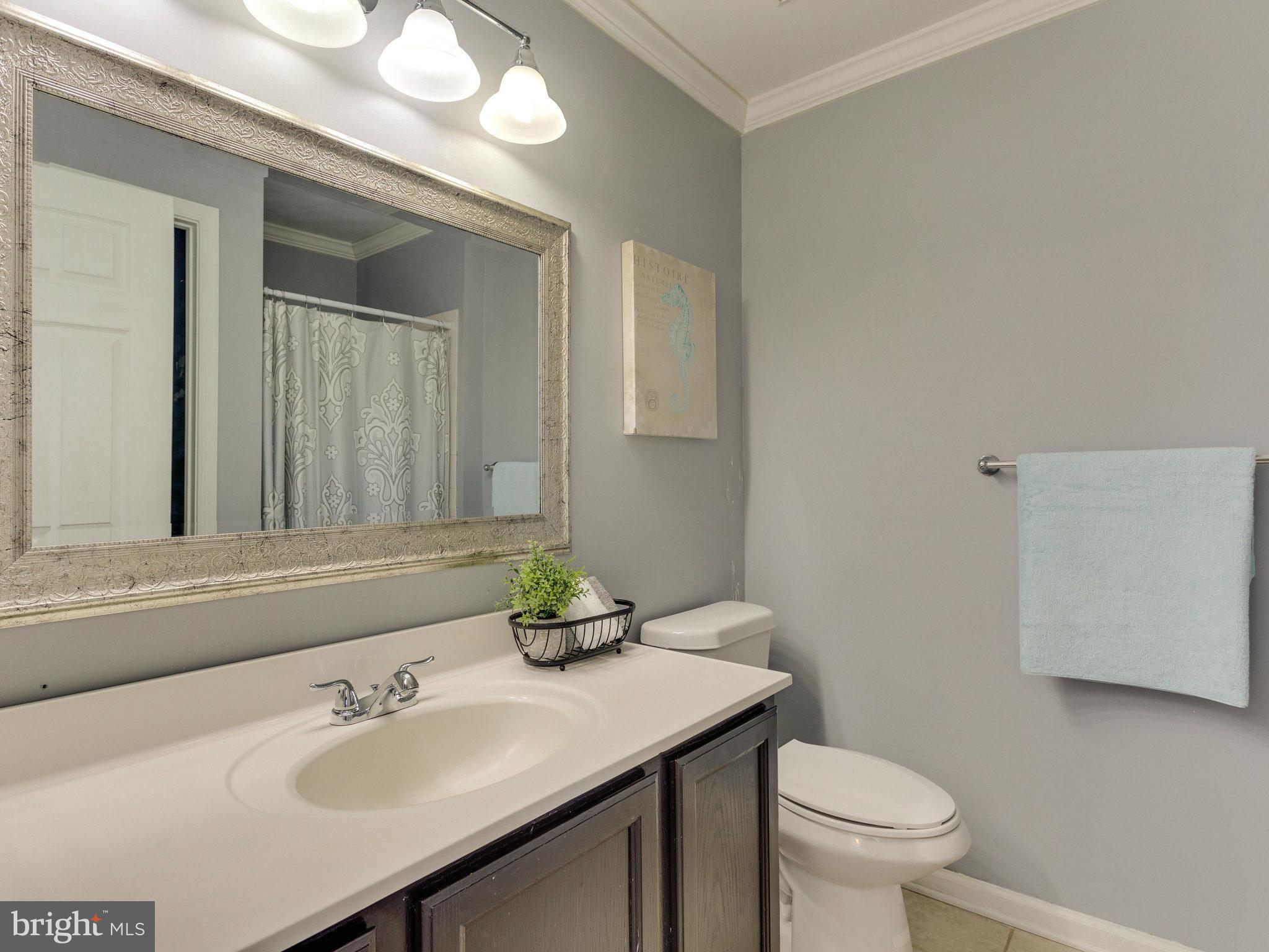 MAPLE POINTE - Residential