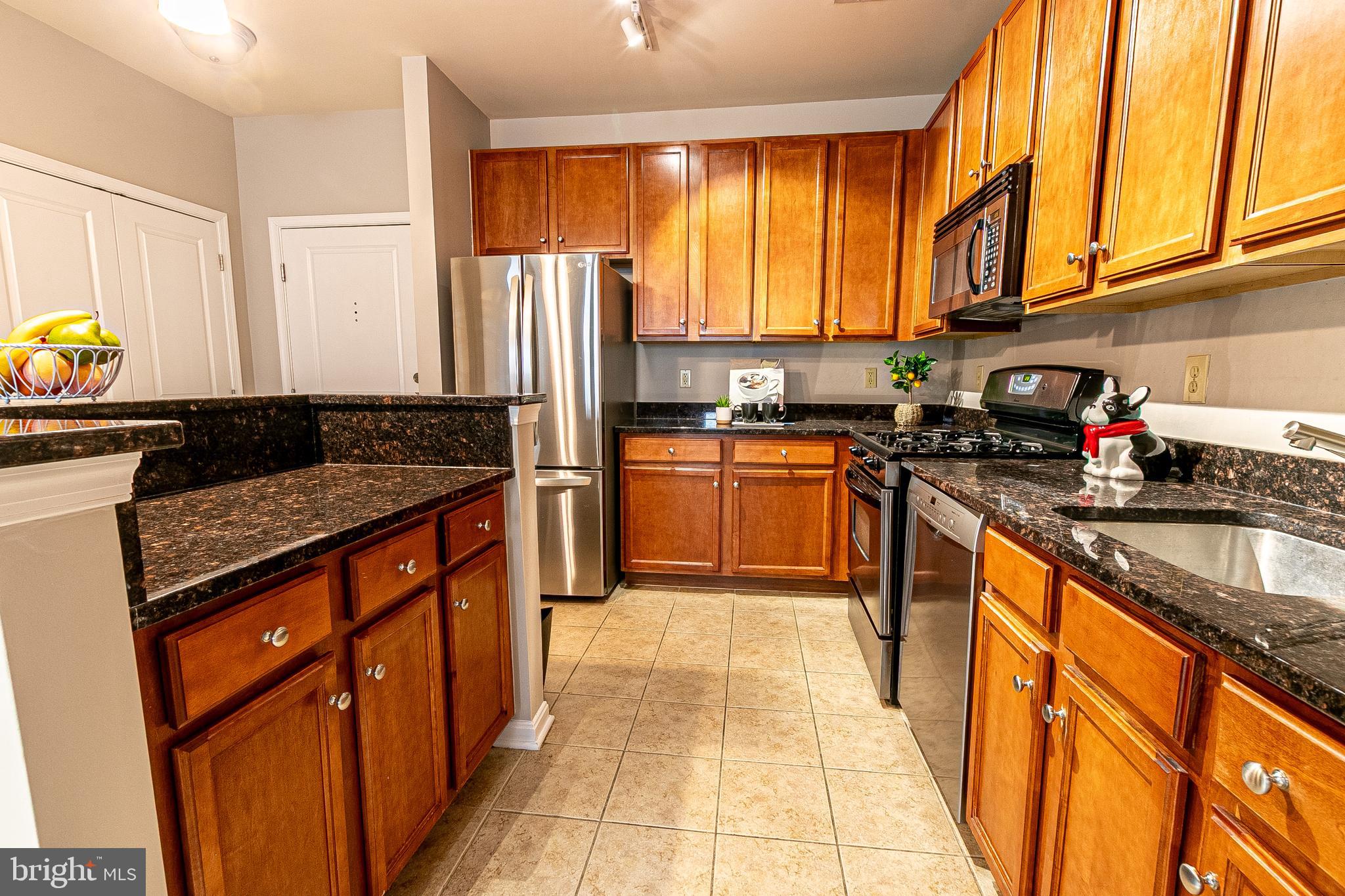 HALSTEAD AT THE METRO - Residential