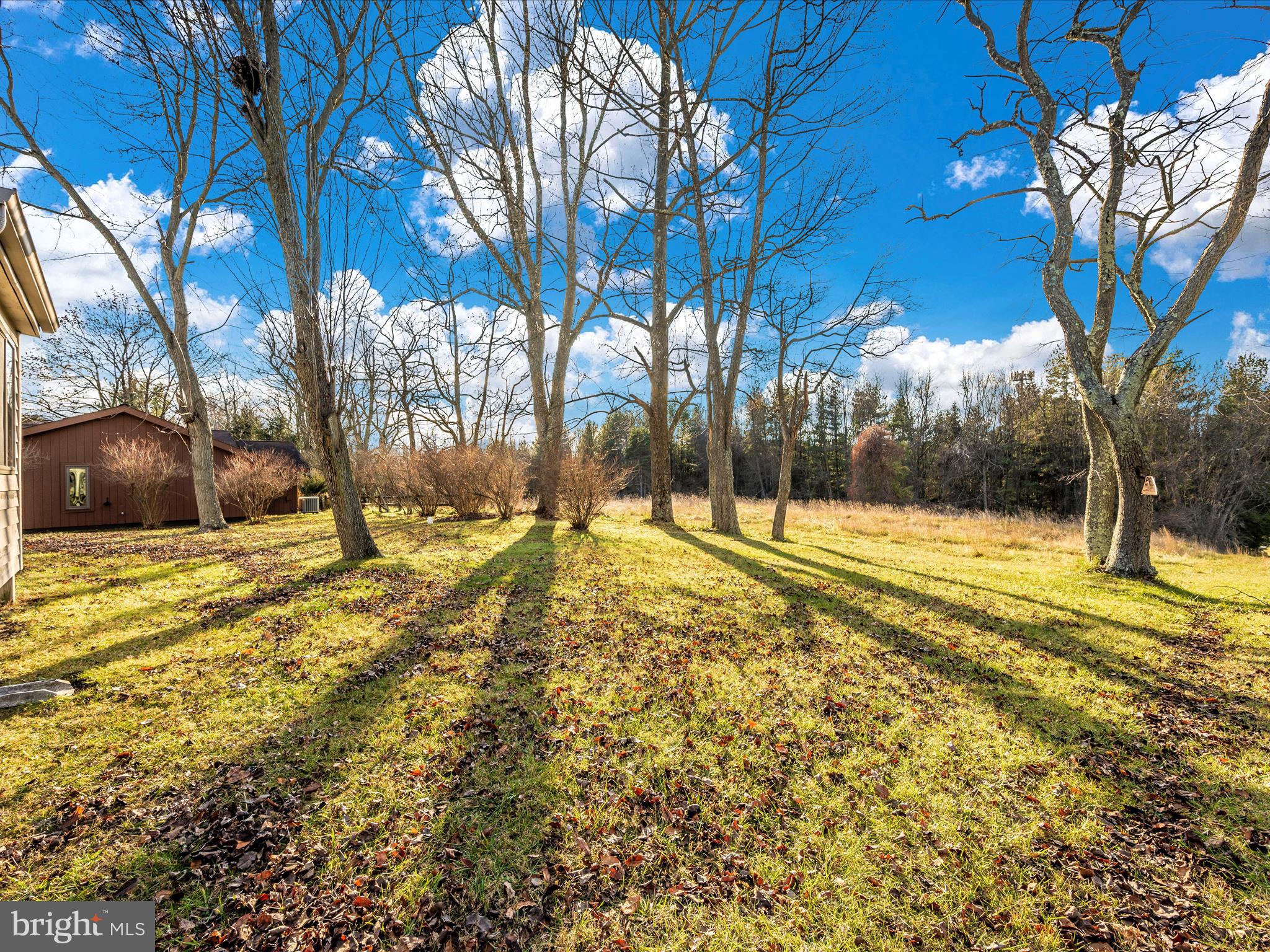 THE MEADOWS - Residential