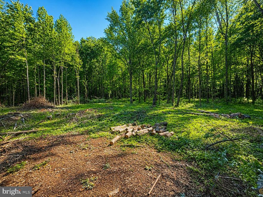 Escape to the peace and quiet of the countryside with this beautiful private wooded 2-acre lot, tucked away down a secluded gravel lane. Offering a perfect blend of mature trees and a partially open entrance area, this property is ideal for camping, hunting, recreation, or simply enjoying nature in a tranquil setting. Bring your RV or pitch a tent and enjoy the great outdoors!

Electric is available at the road, and the seller has marked the approximate property corners and boundaries for convenience (no survey on file). A seasonal hand-dug well is also located on the property. Whether you're looking for a weekend getaway, a place to gather around bonfires, or your own private retreat in nature, this property offers endless possibilities to relax and unwind outdoors.