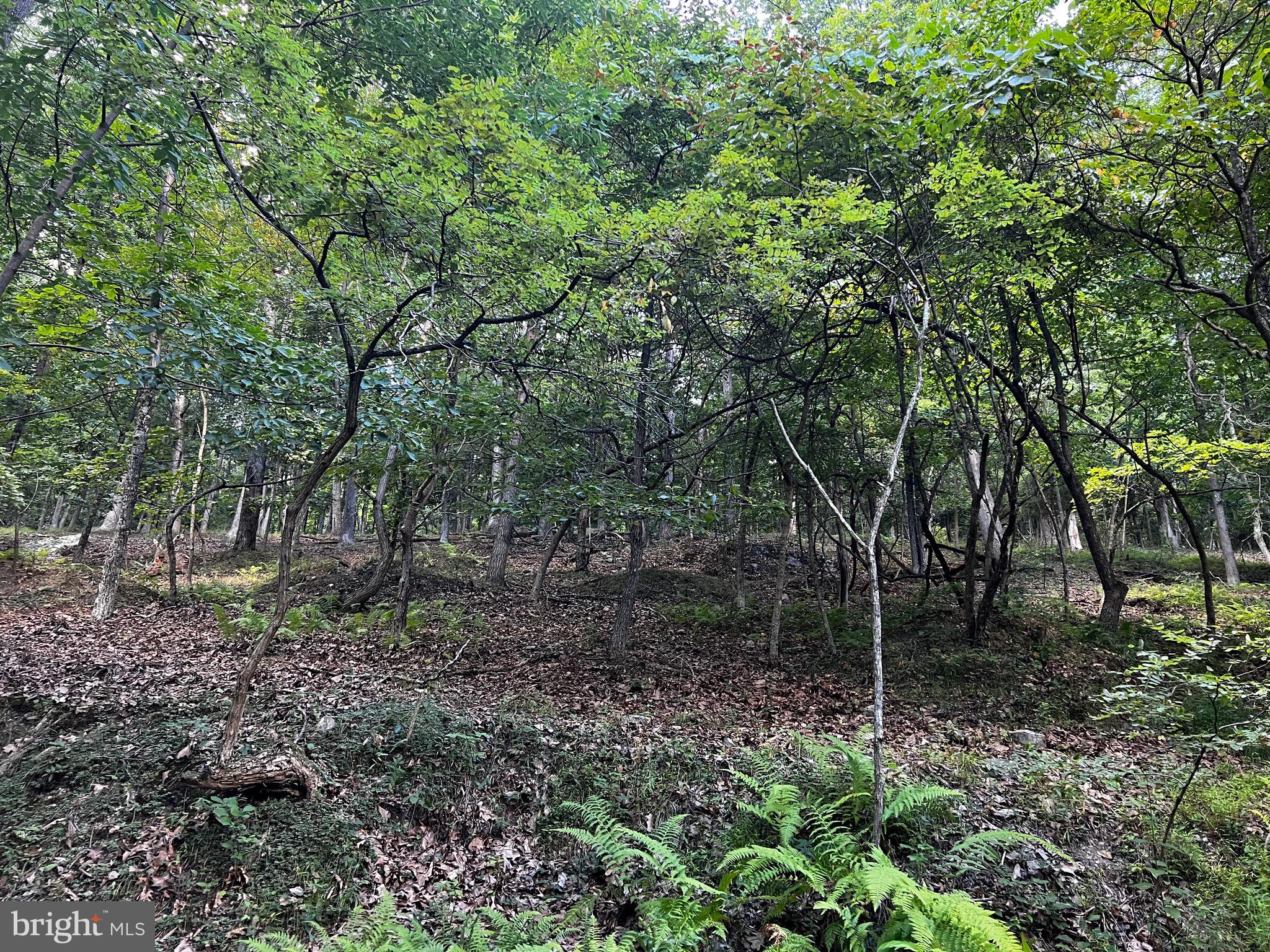 LOST RIVER MOUNTAIN - Land