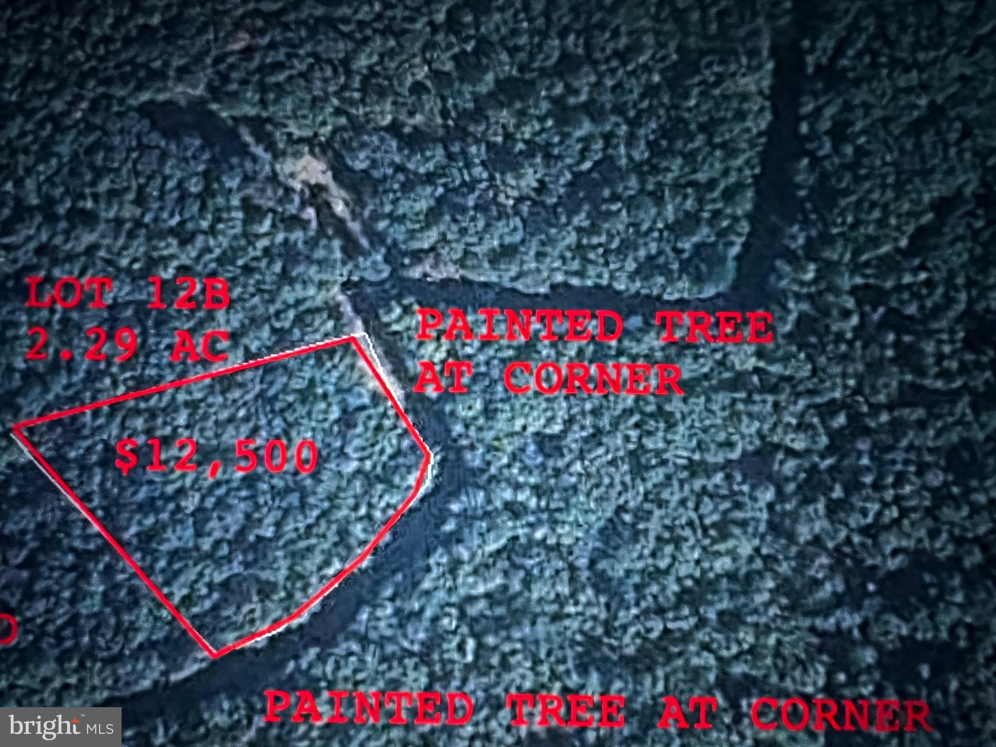 LOST RIVER MOUNTAIN - Land