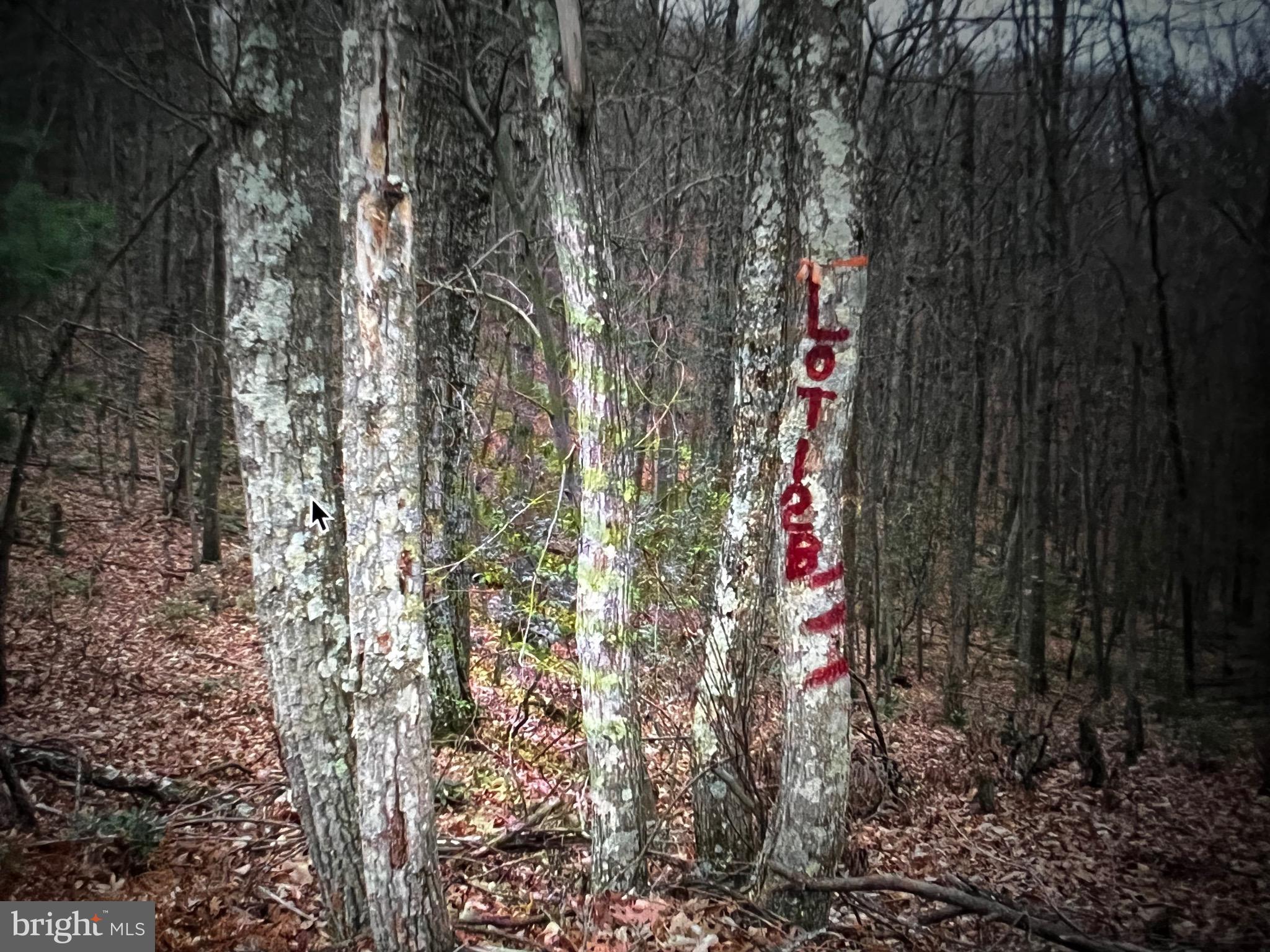 LOST RIVER MOUNTAIN - Land