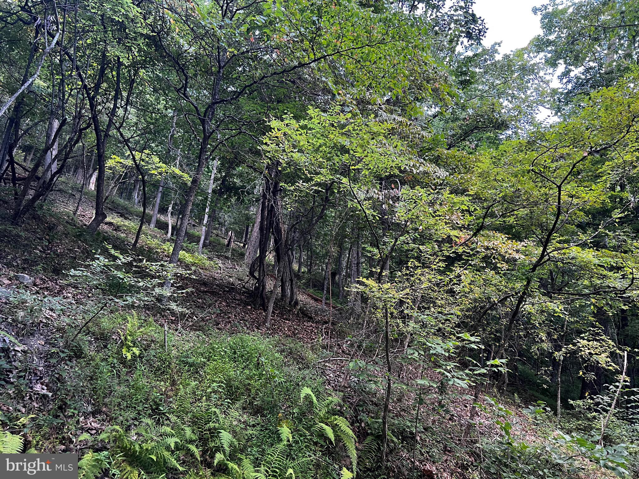 LOST RIVER MOUNTAIN - Land