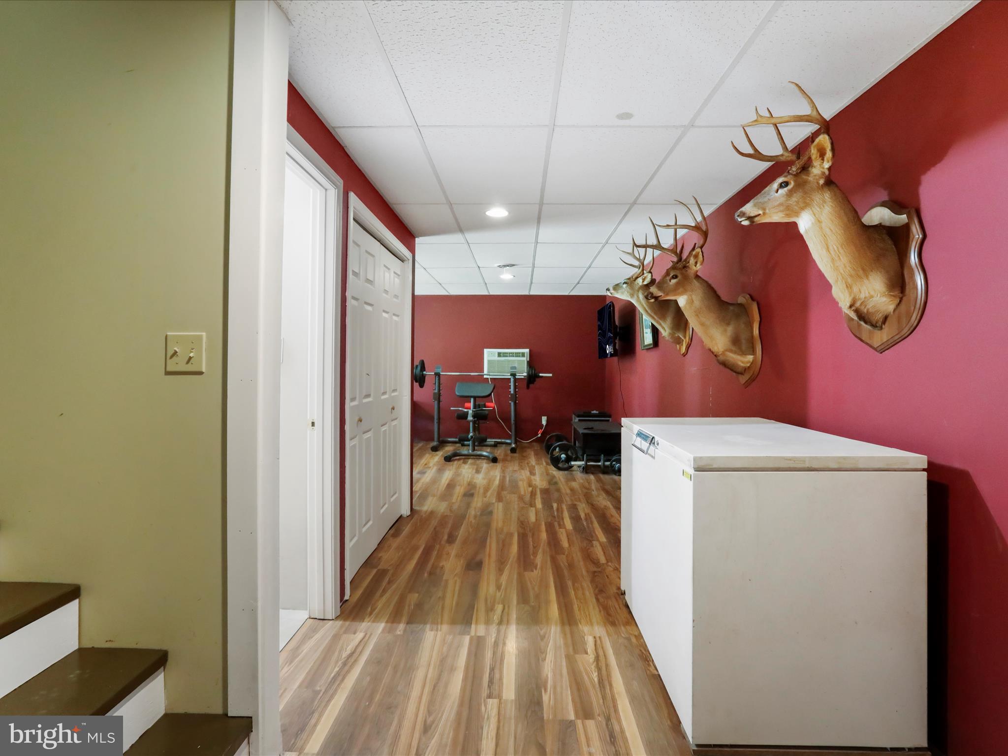 CABIN IN THE PINES - Residential