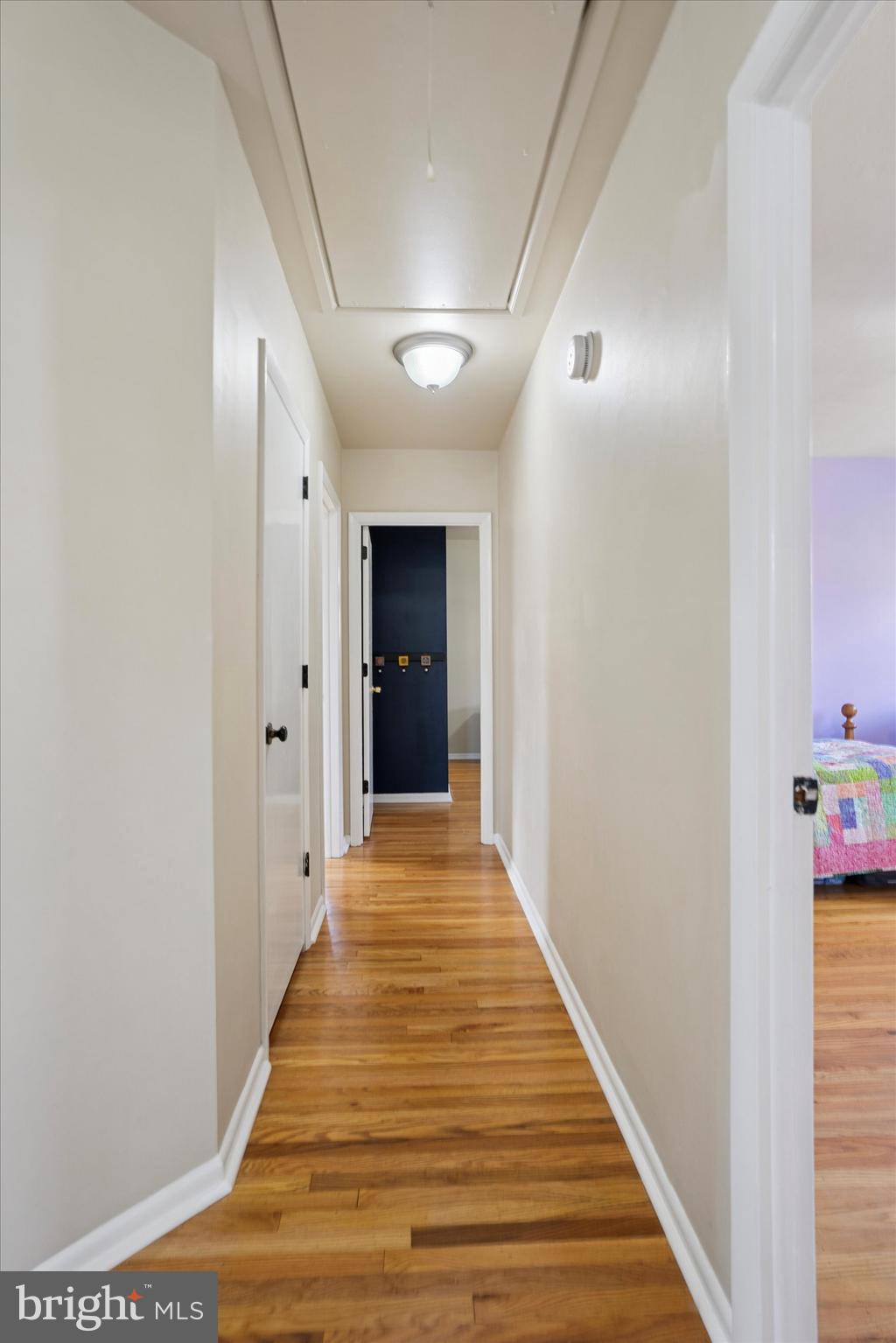 PALOMINO FARMS - Residential